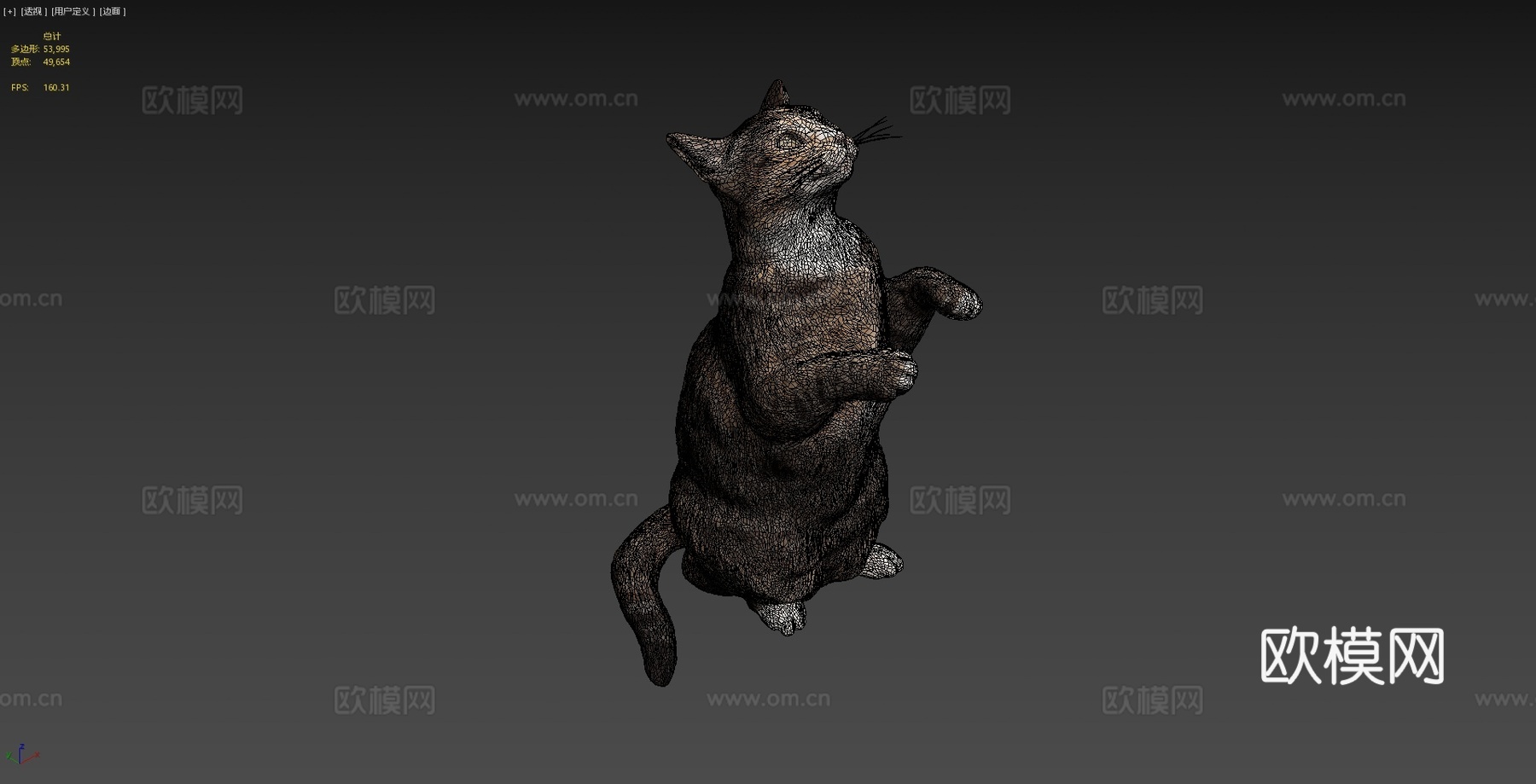 三花猫103d模型
