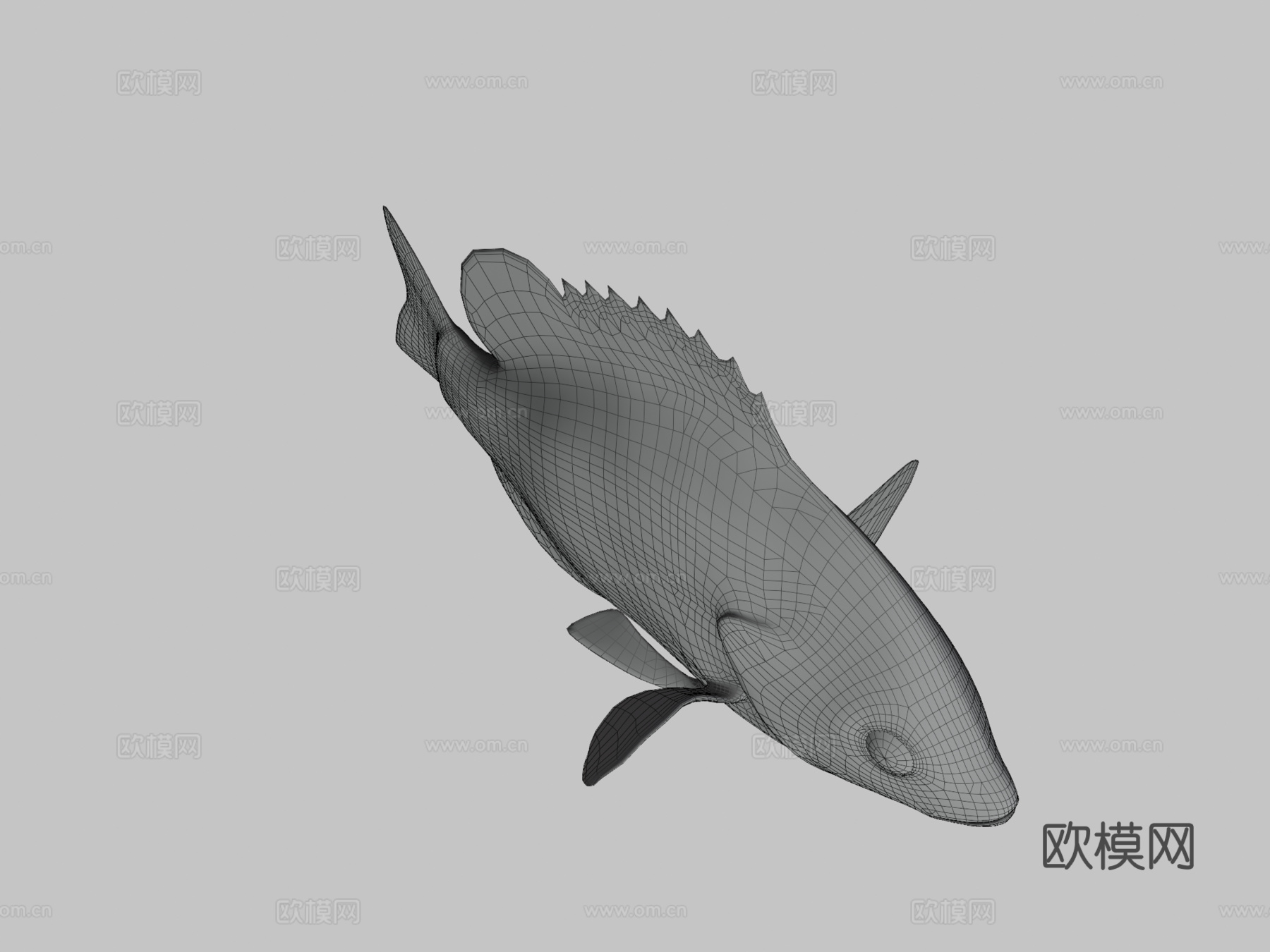 A型-蓝鳃太阳鱼3d模型