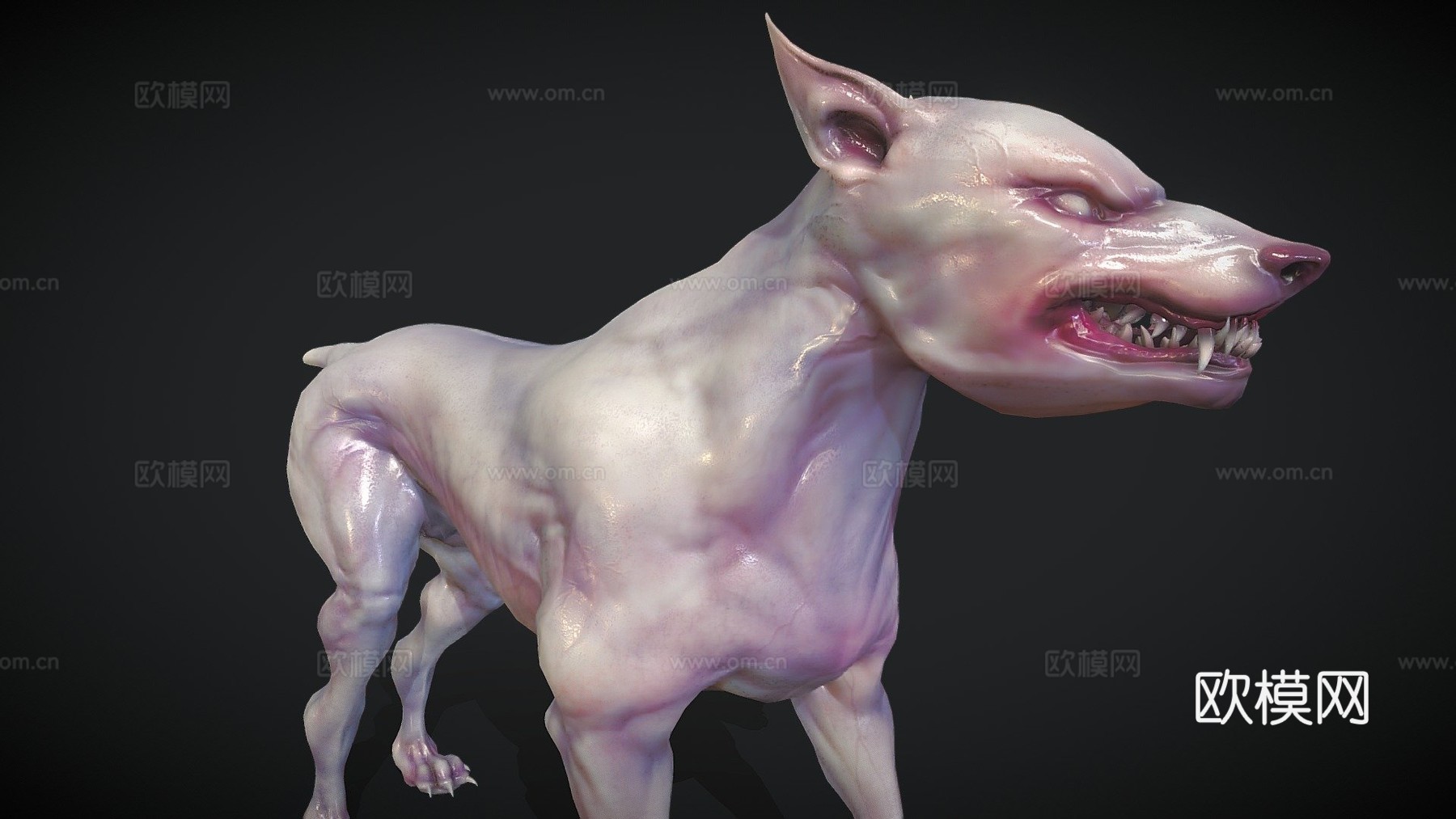 变异狗动画3d模型