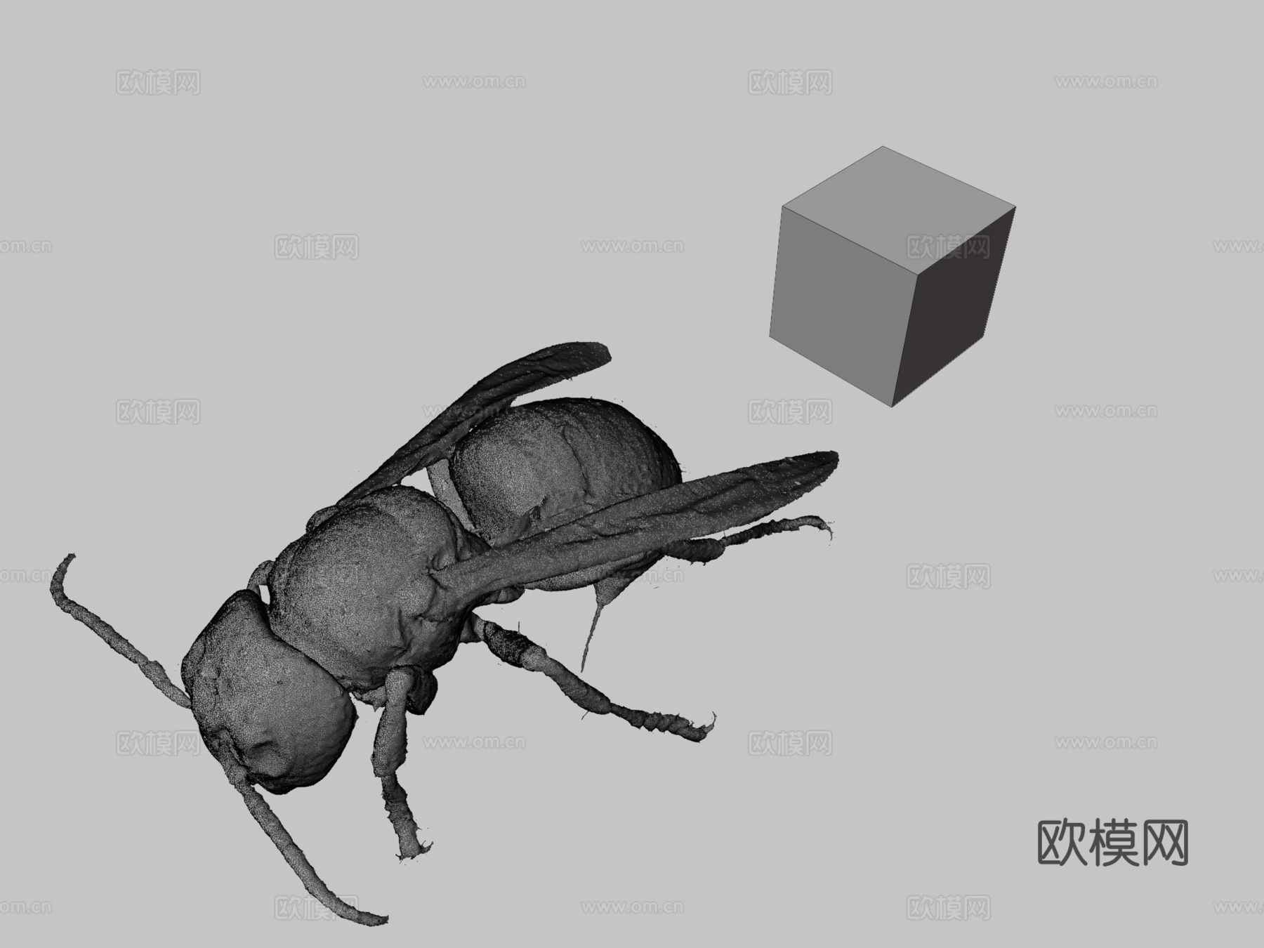 CC0日本大黄蜂?3d模型