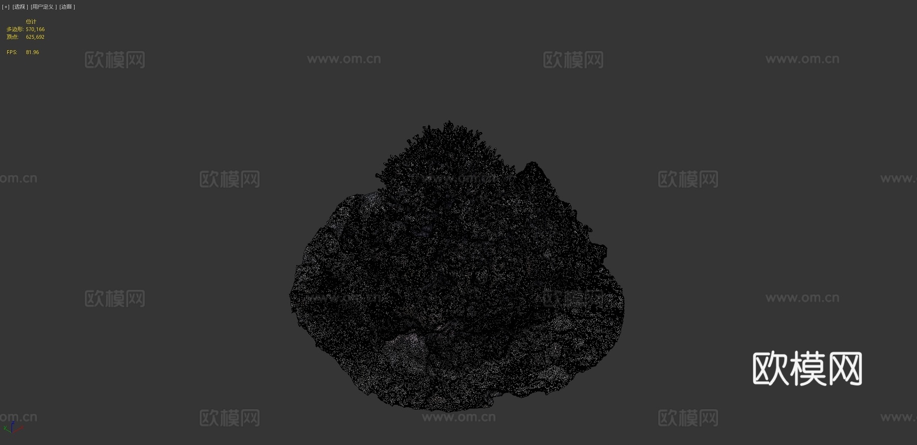 冲绳珊瑚-Agisoft自然挑战3d模型
