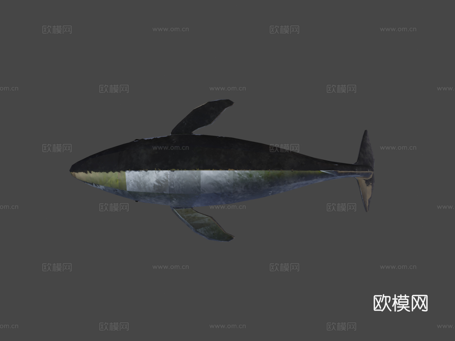 绑定蓝鲸3d模型