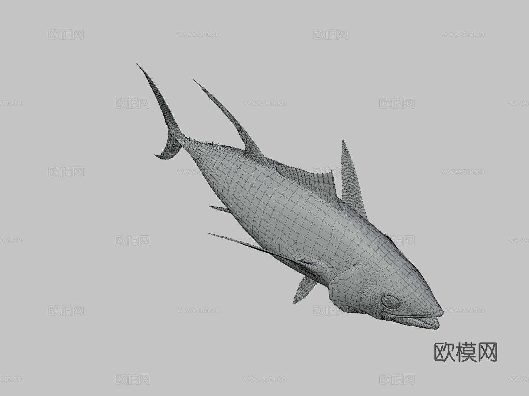 黄鳍金枪鱼3d模型