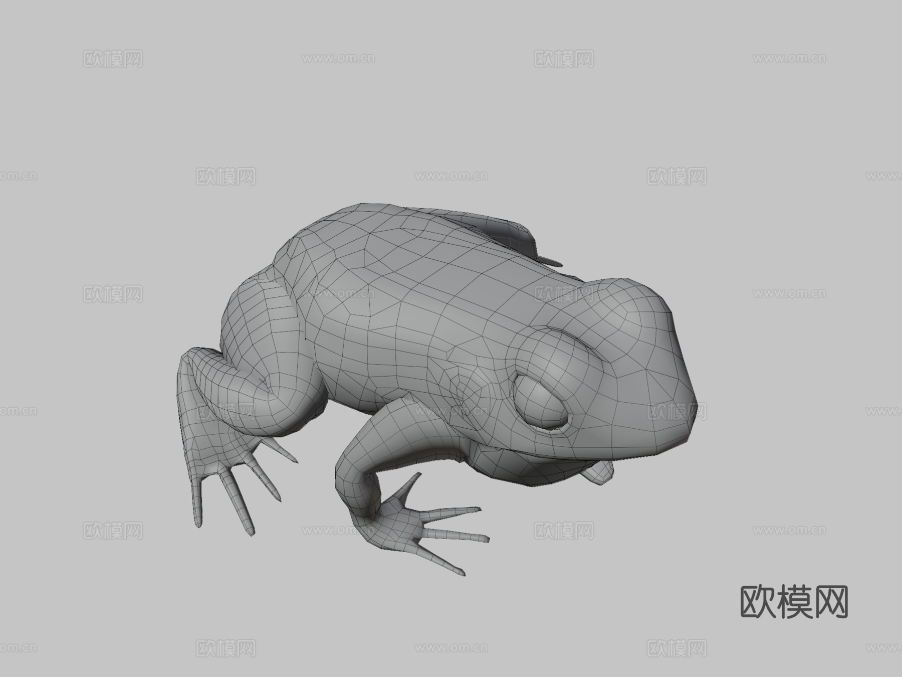 青蛙3d模型