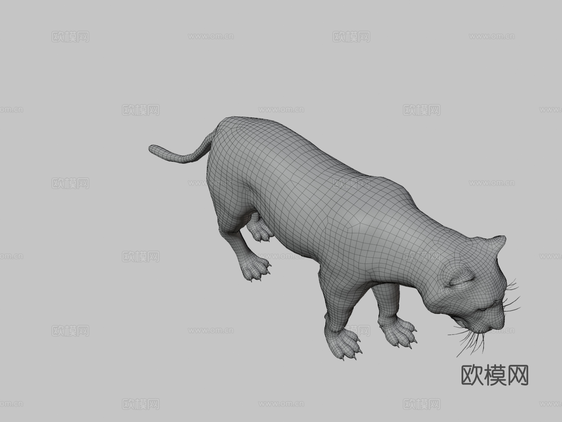 老虎3d模型