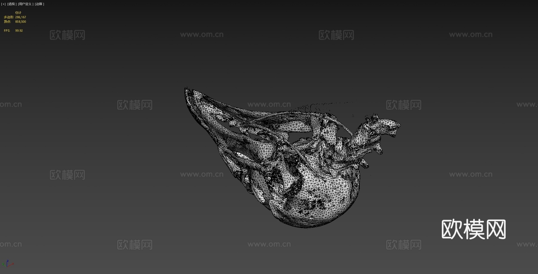 黑秃鹫头骨3d模型