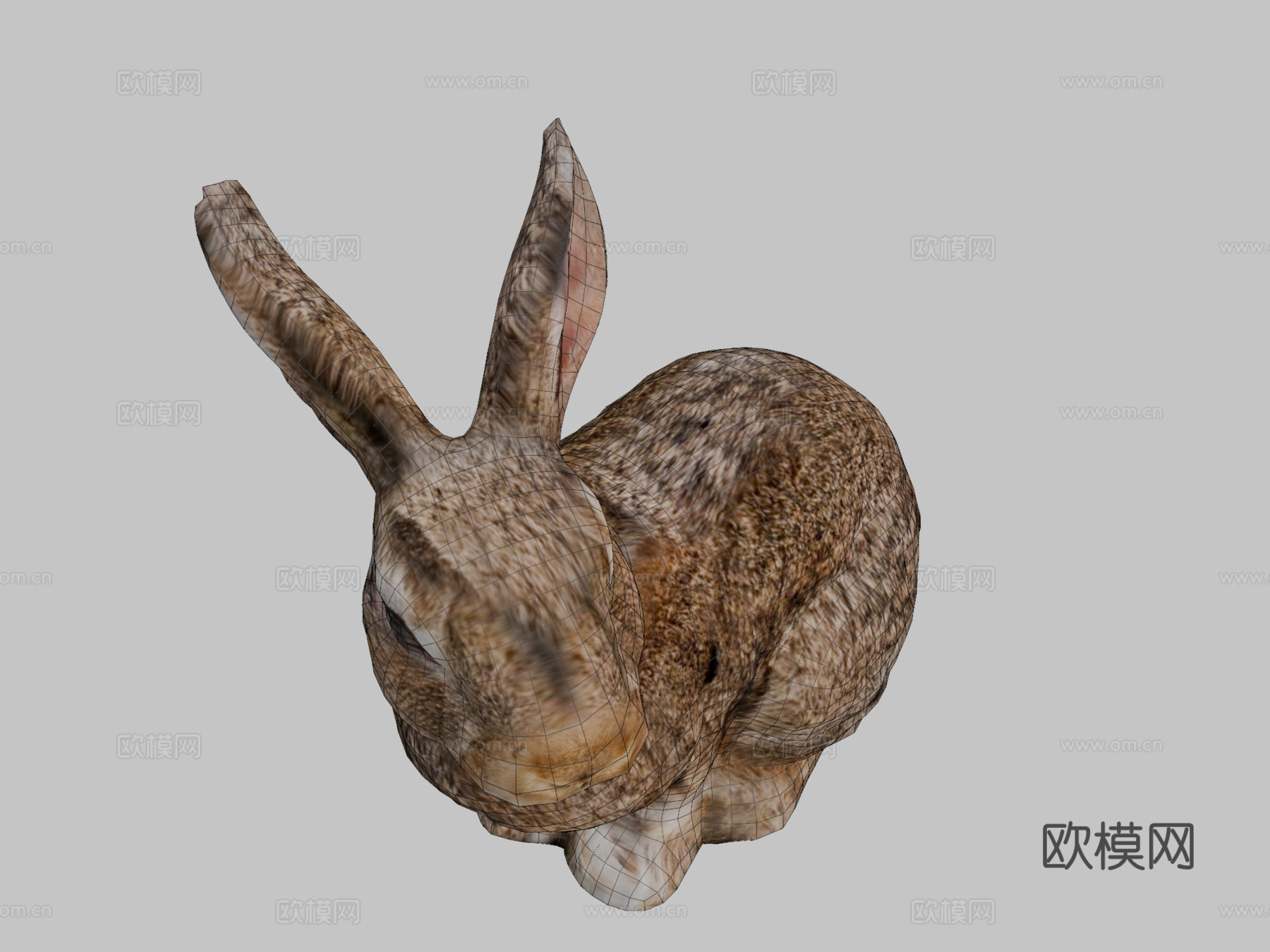 兔子3d模型