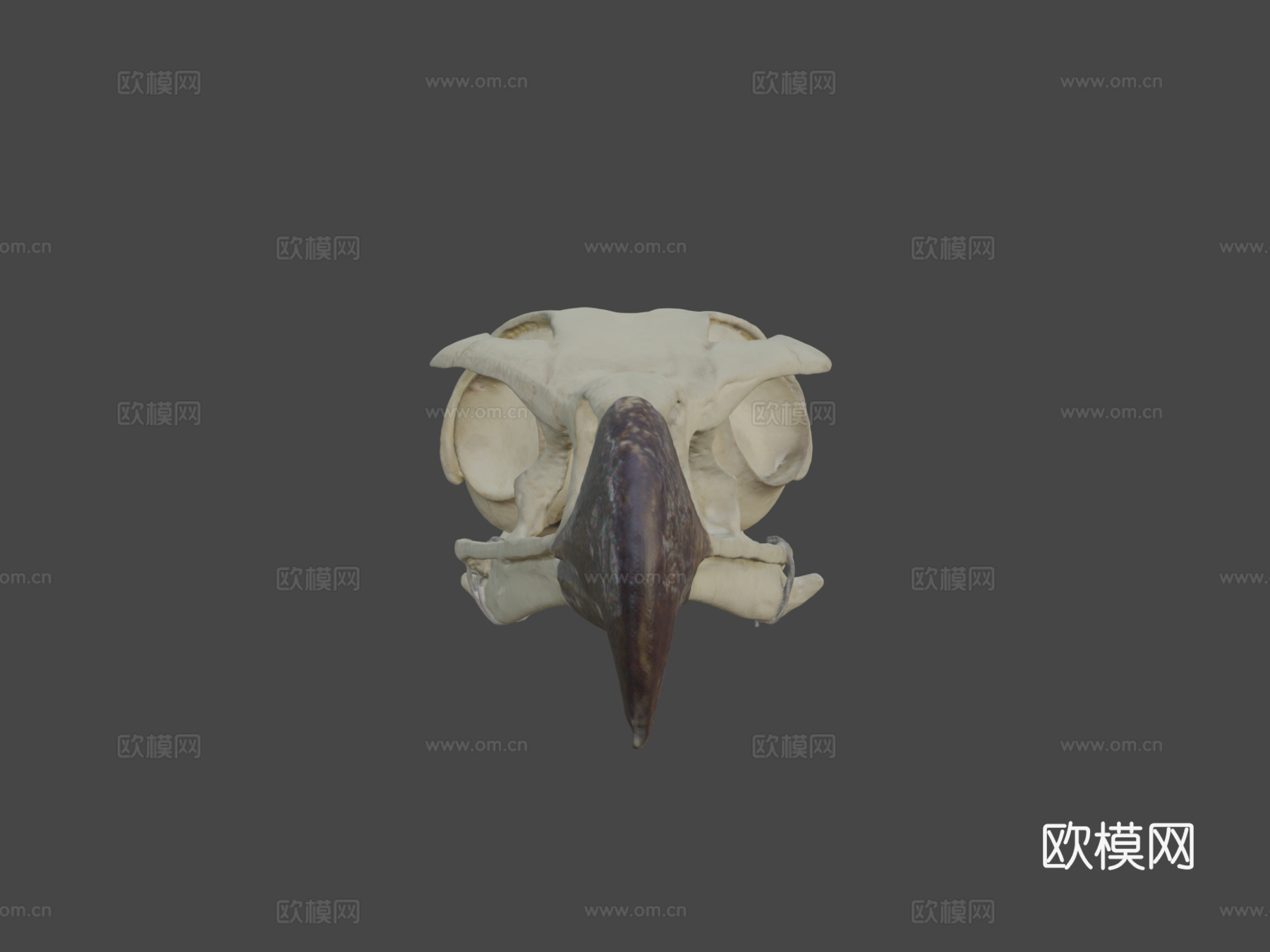 金雕头骨3d模型