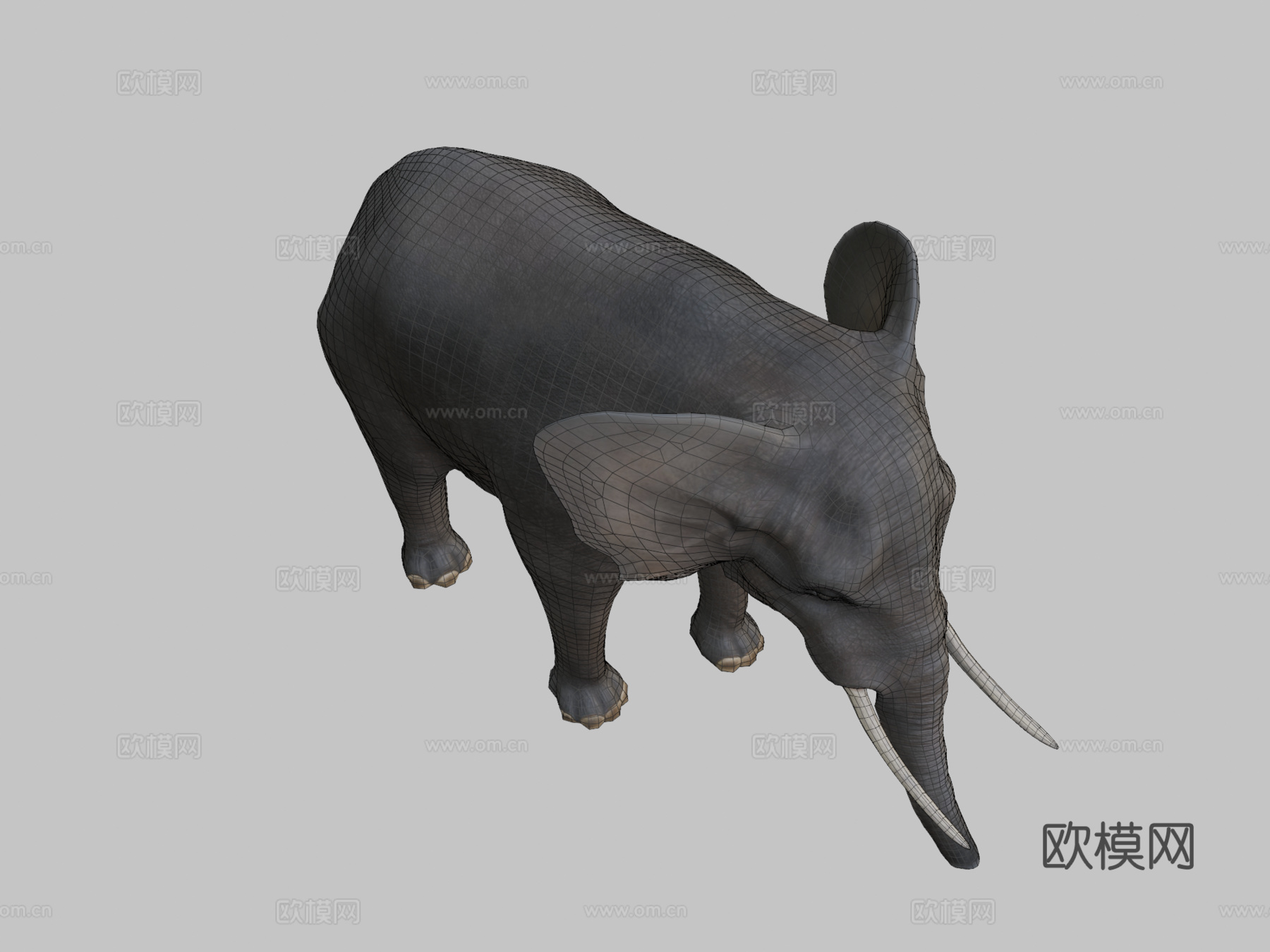 非洲象3d模型