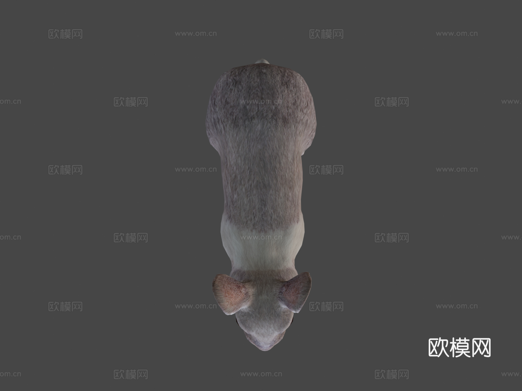 兔子动画3d模型