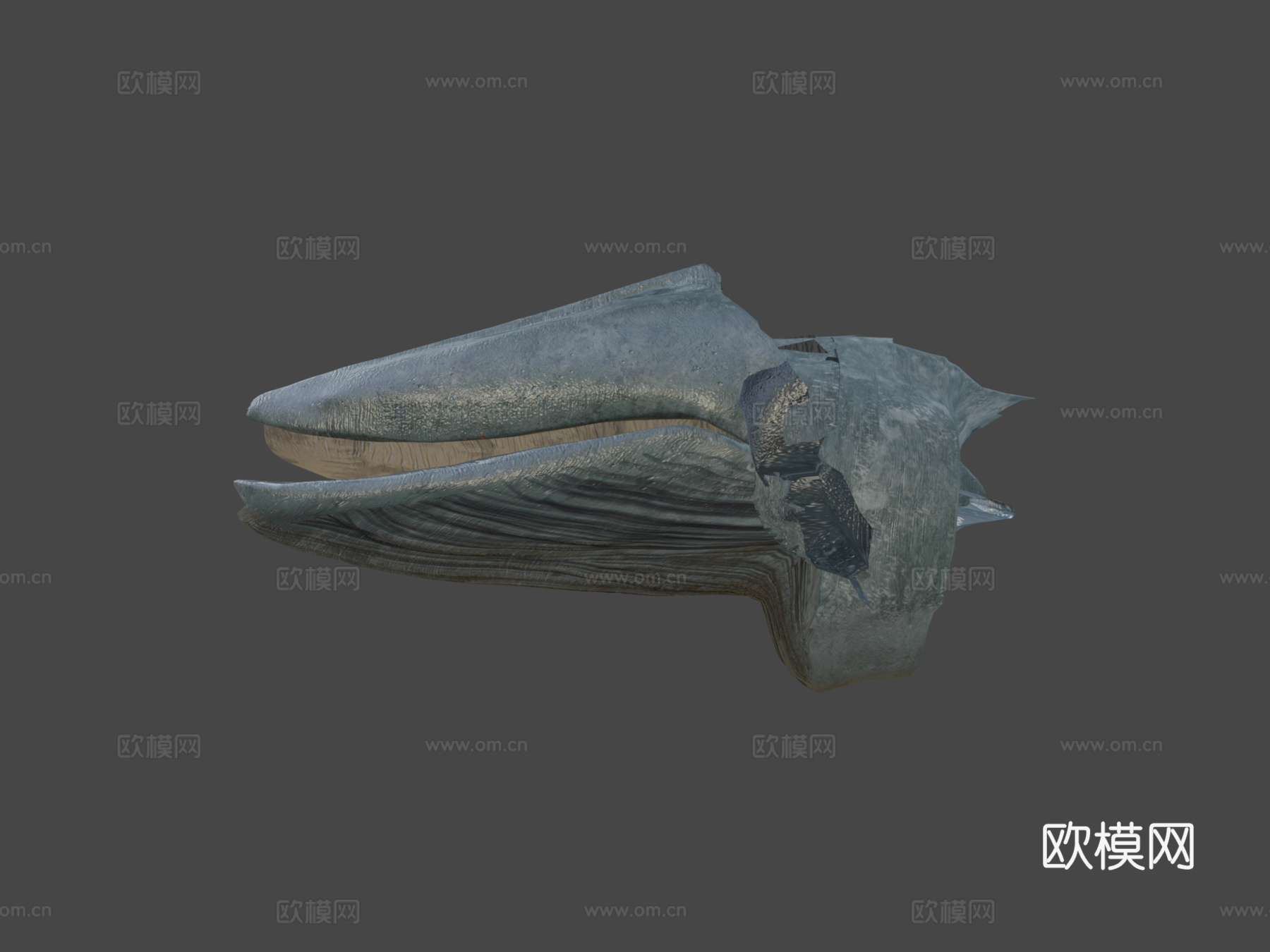 蓝鲸3d模型