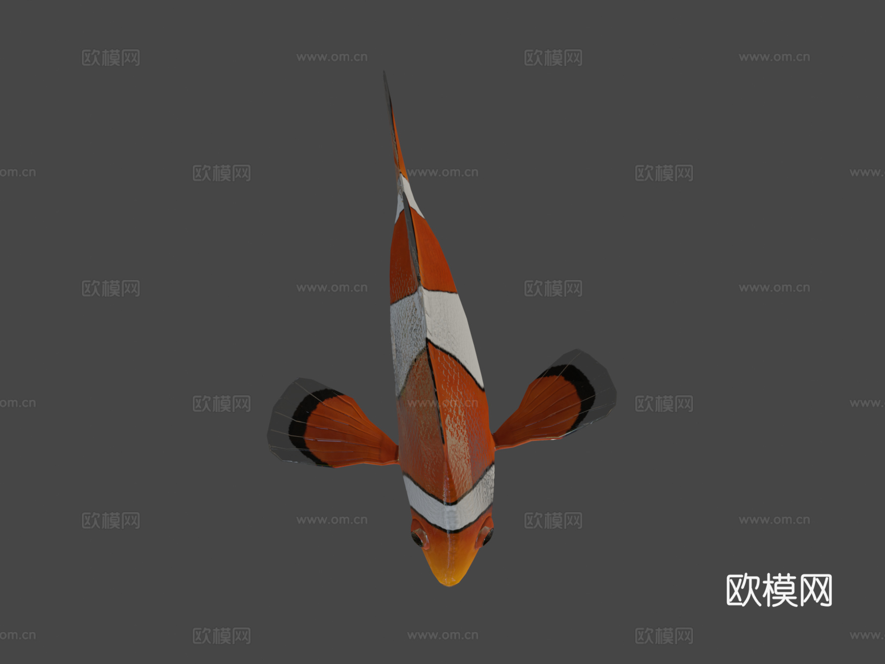 海葵鱼小丑鱼绑定3d模型