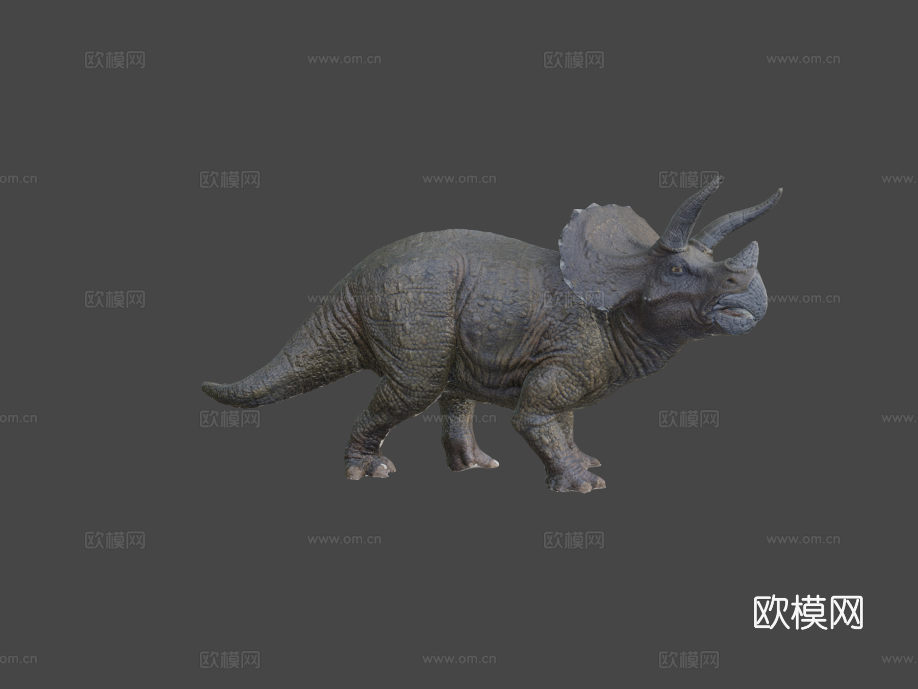三角龙摄影测量测试3d模型