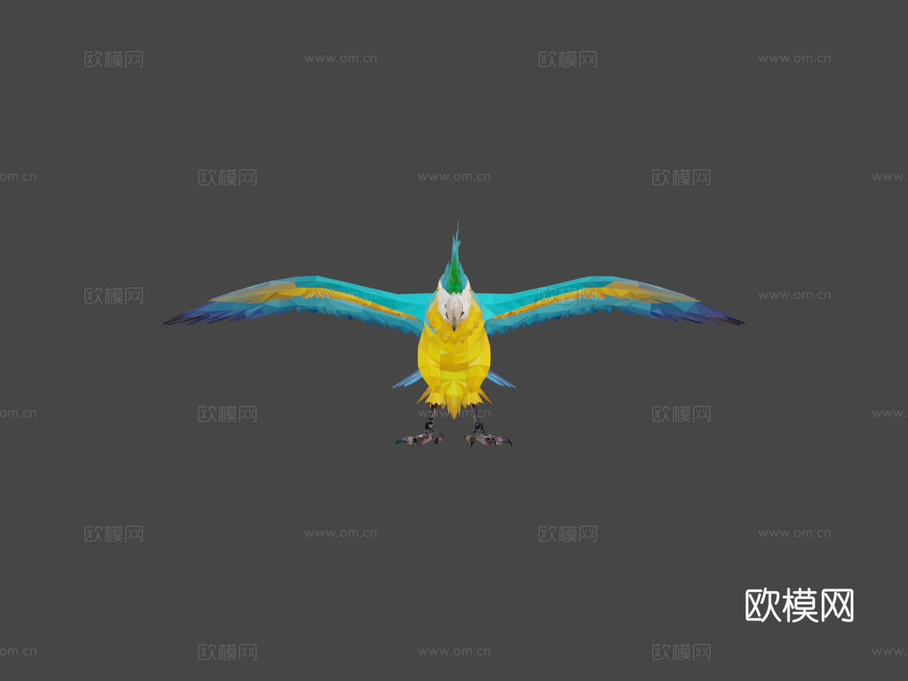 低多边形艺术蓝色鹦鹉鸟3d模型