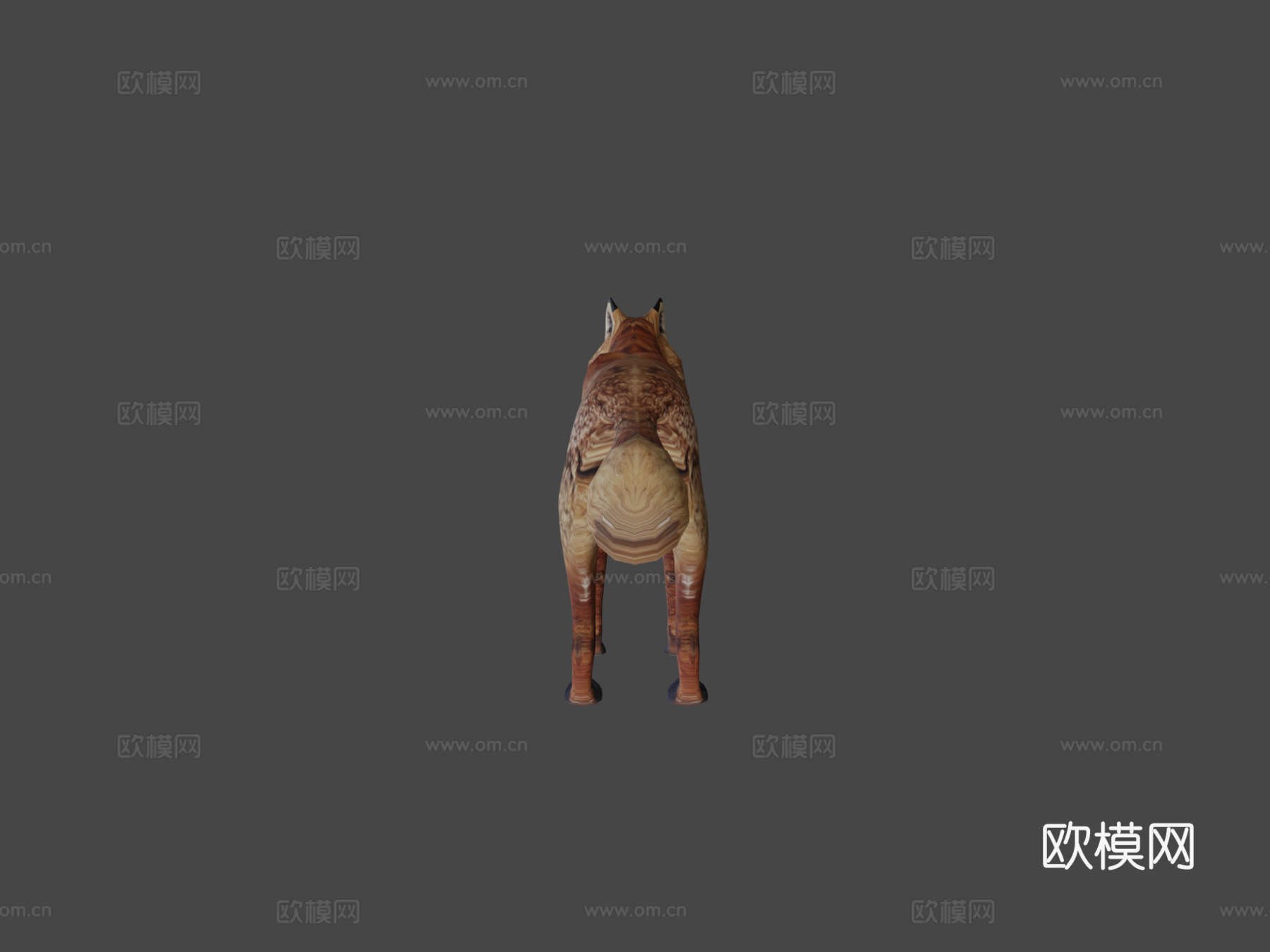 狐狸3d模型