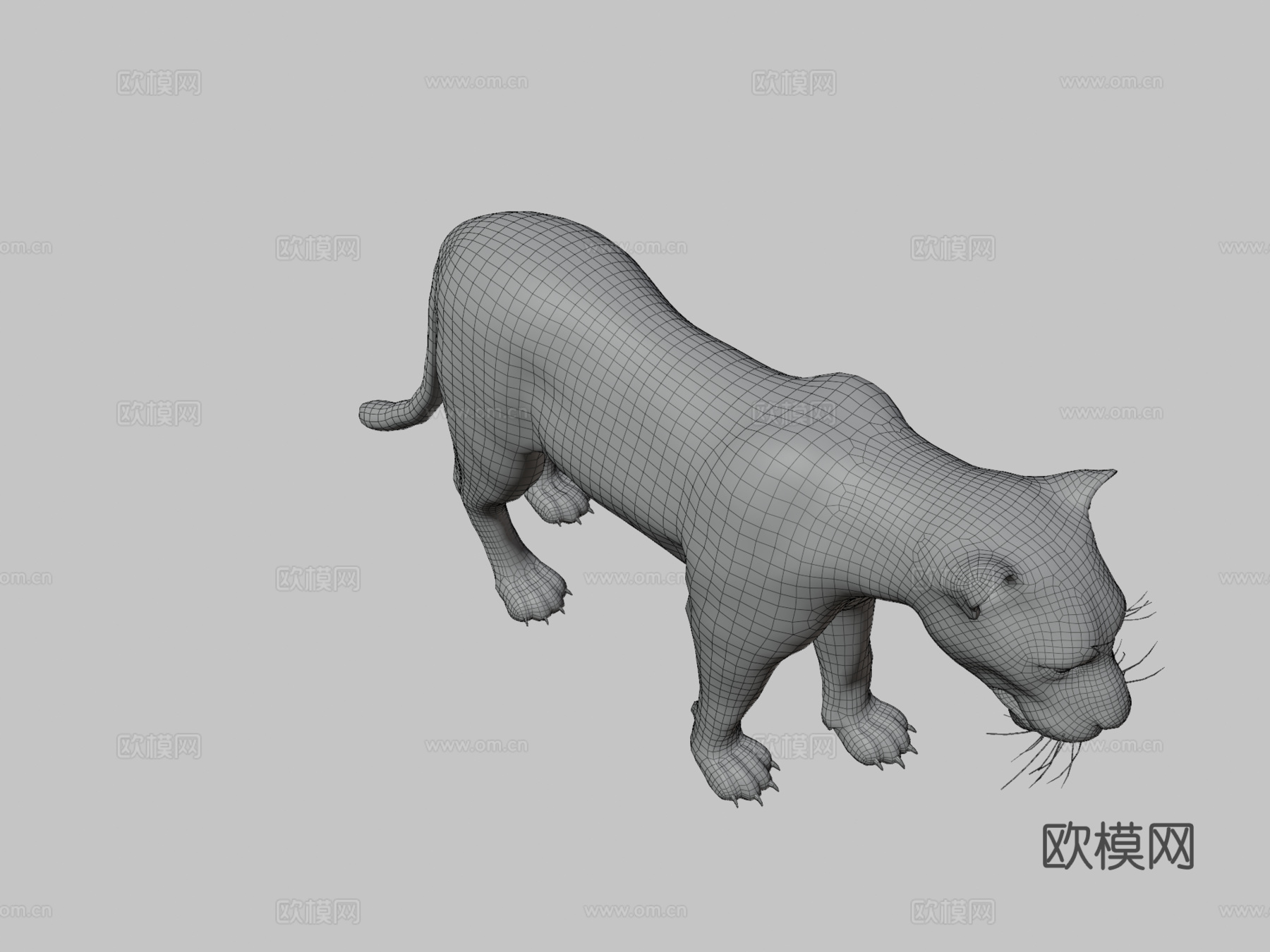 豹3d模型
