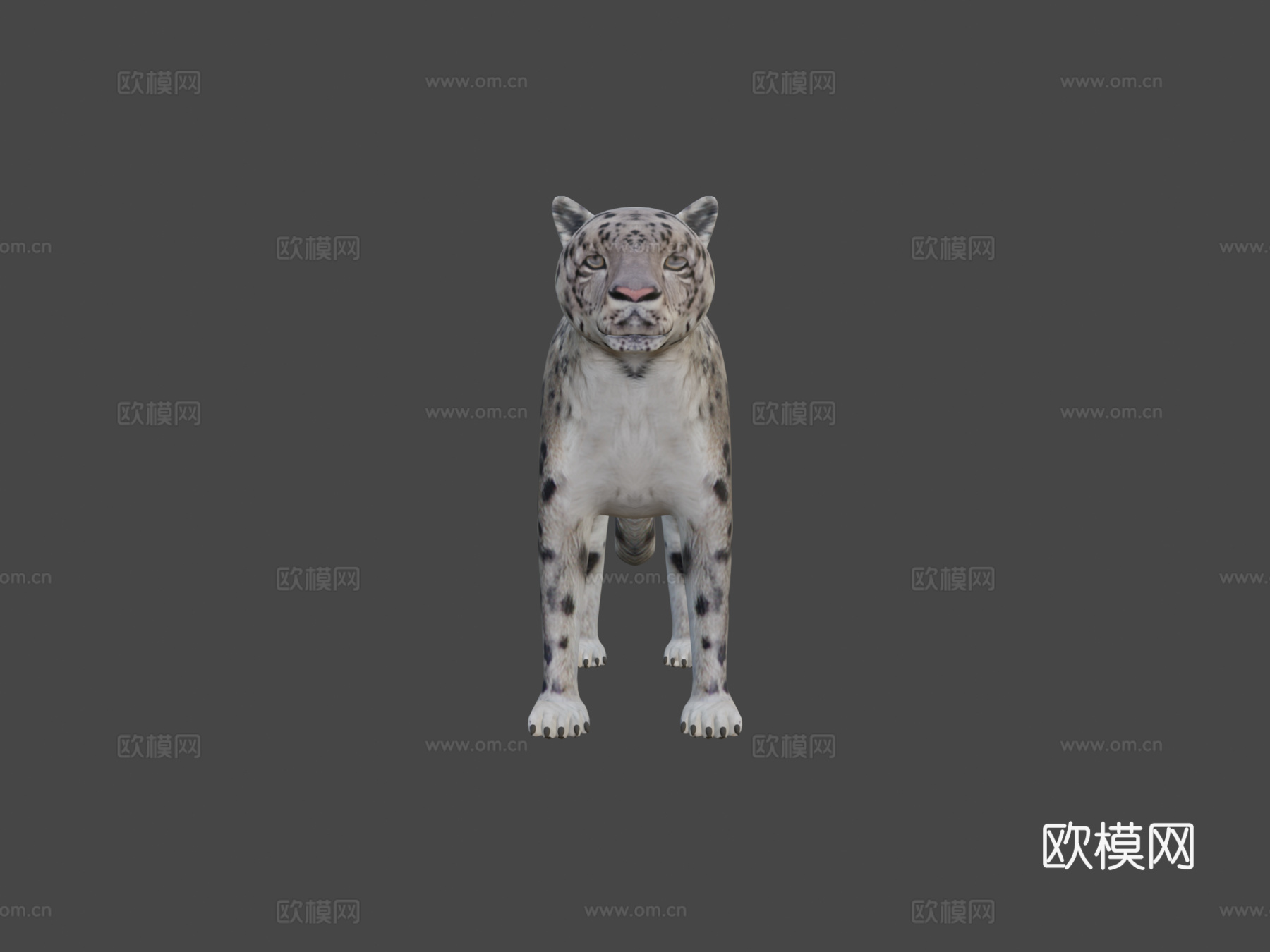 雪豹3d模型
