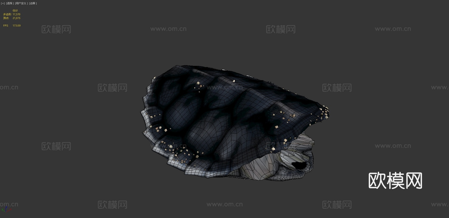 绿海龟宝宝3d模型