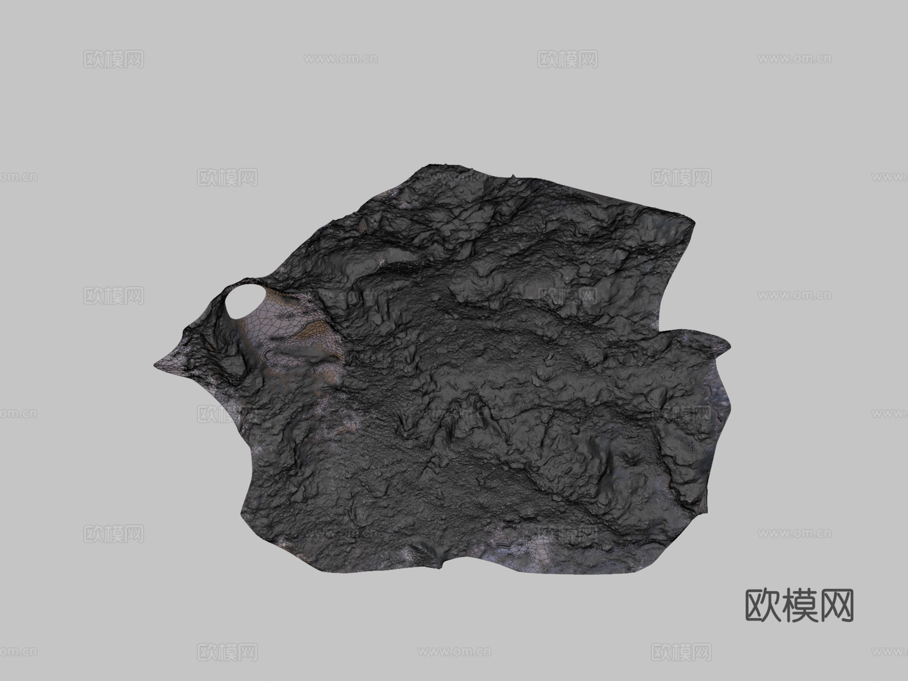 鸟脚印软泥,拉比,威勒尔3d模型
