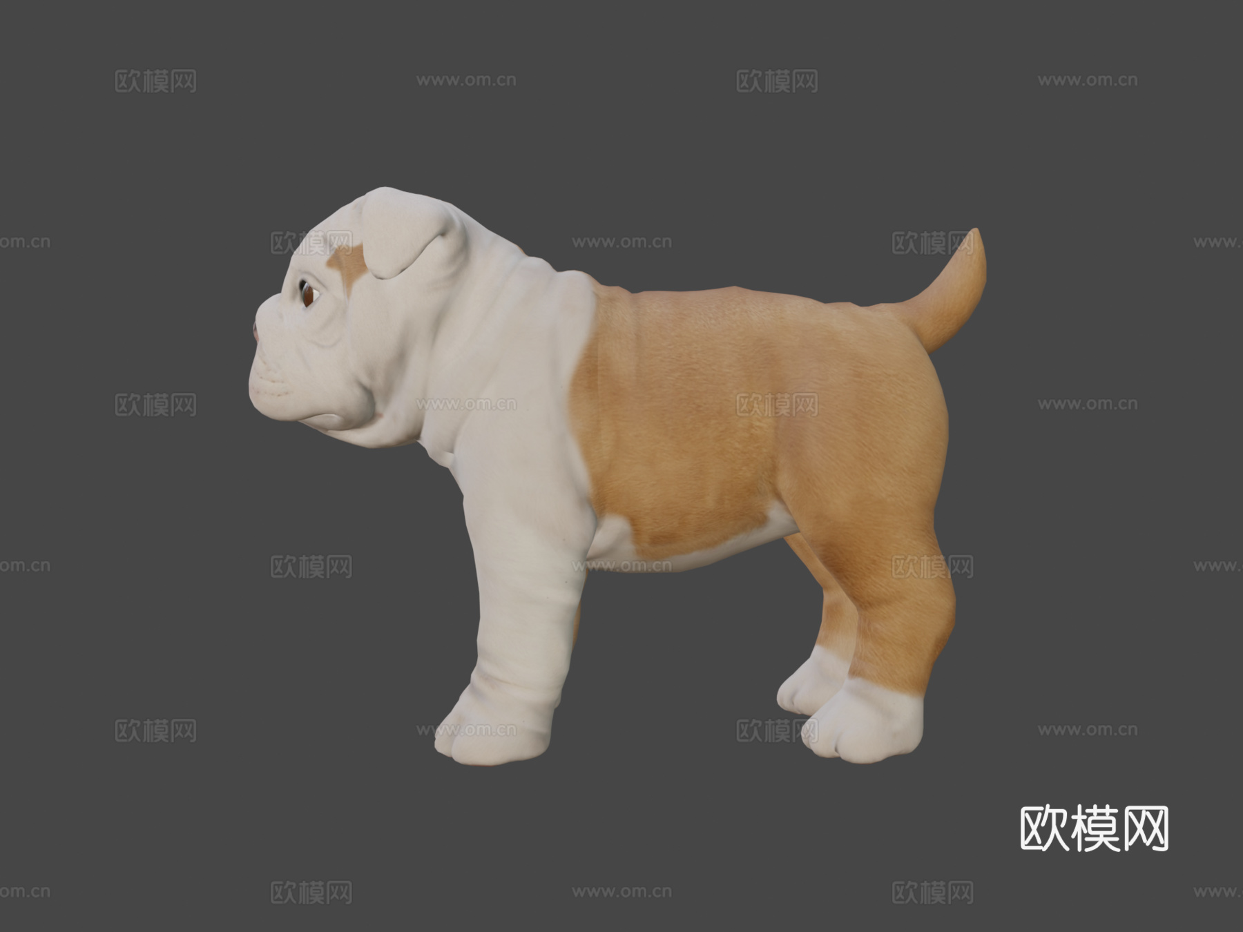 斗牛犬幼崽3d模型