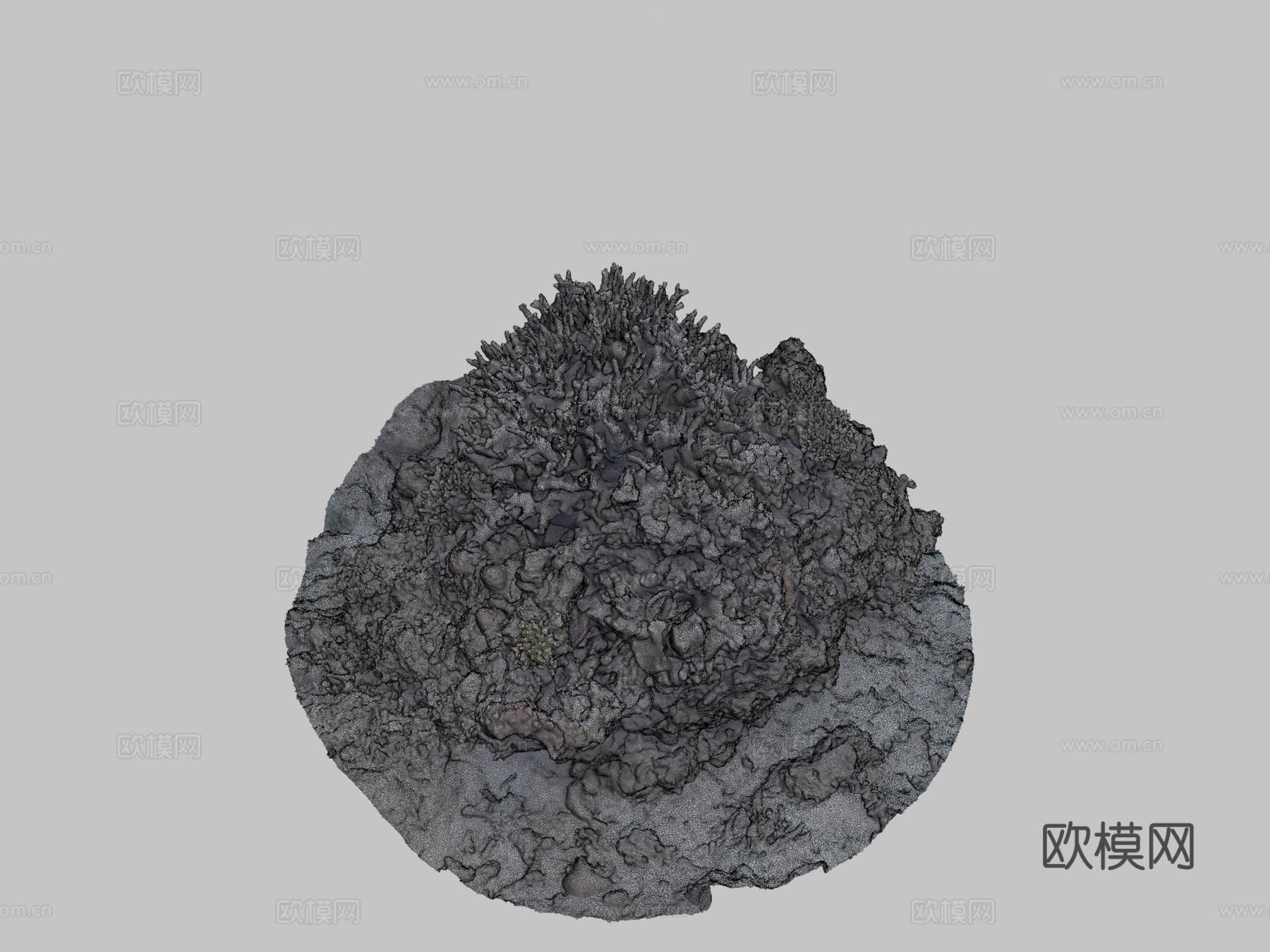 冲绳珊瑚-Agisoft自然挑战3d模型