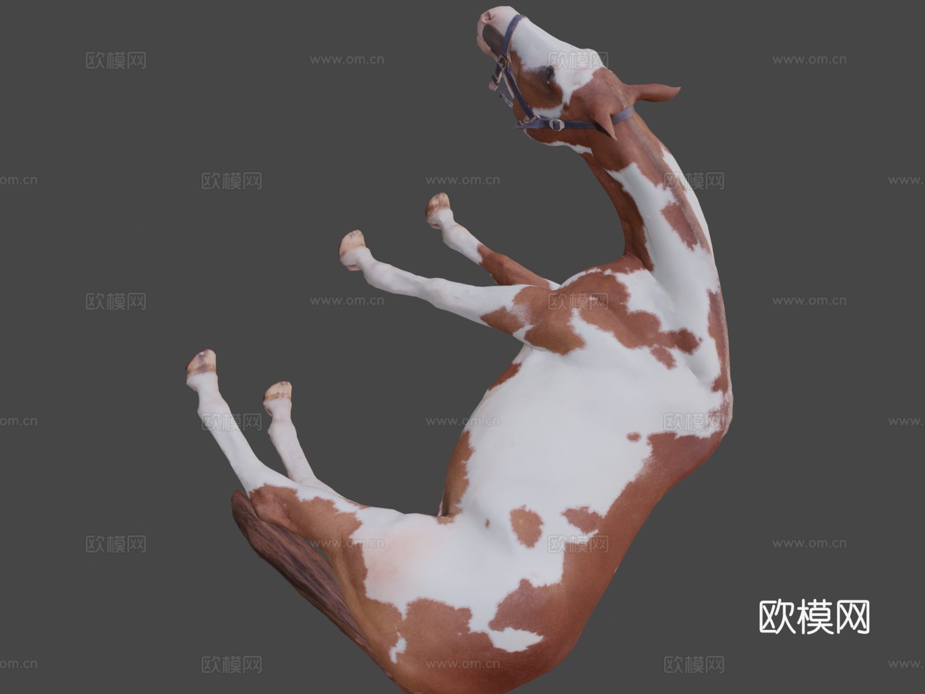 马 - 姿势43d模型