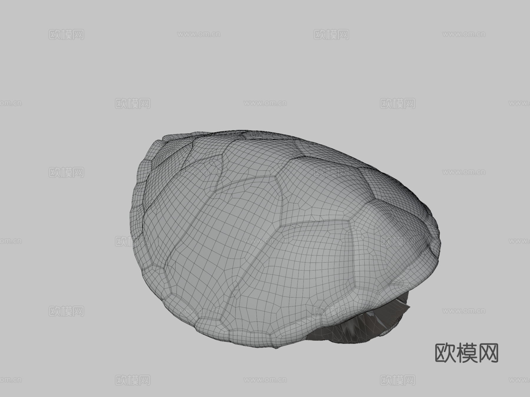 绿海龟♂3d模型