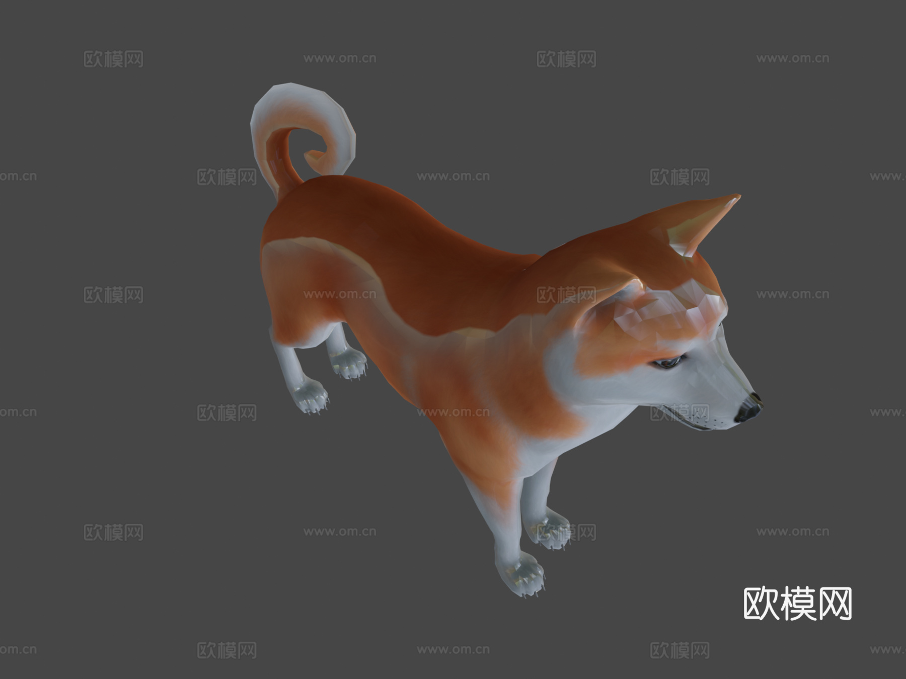 秋田犬3d模型