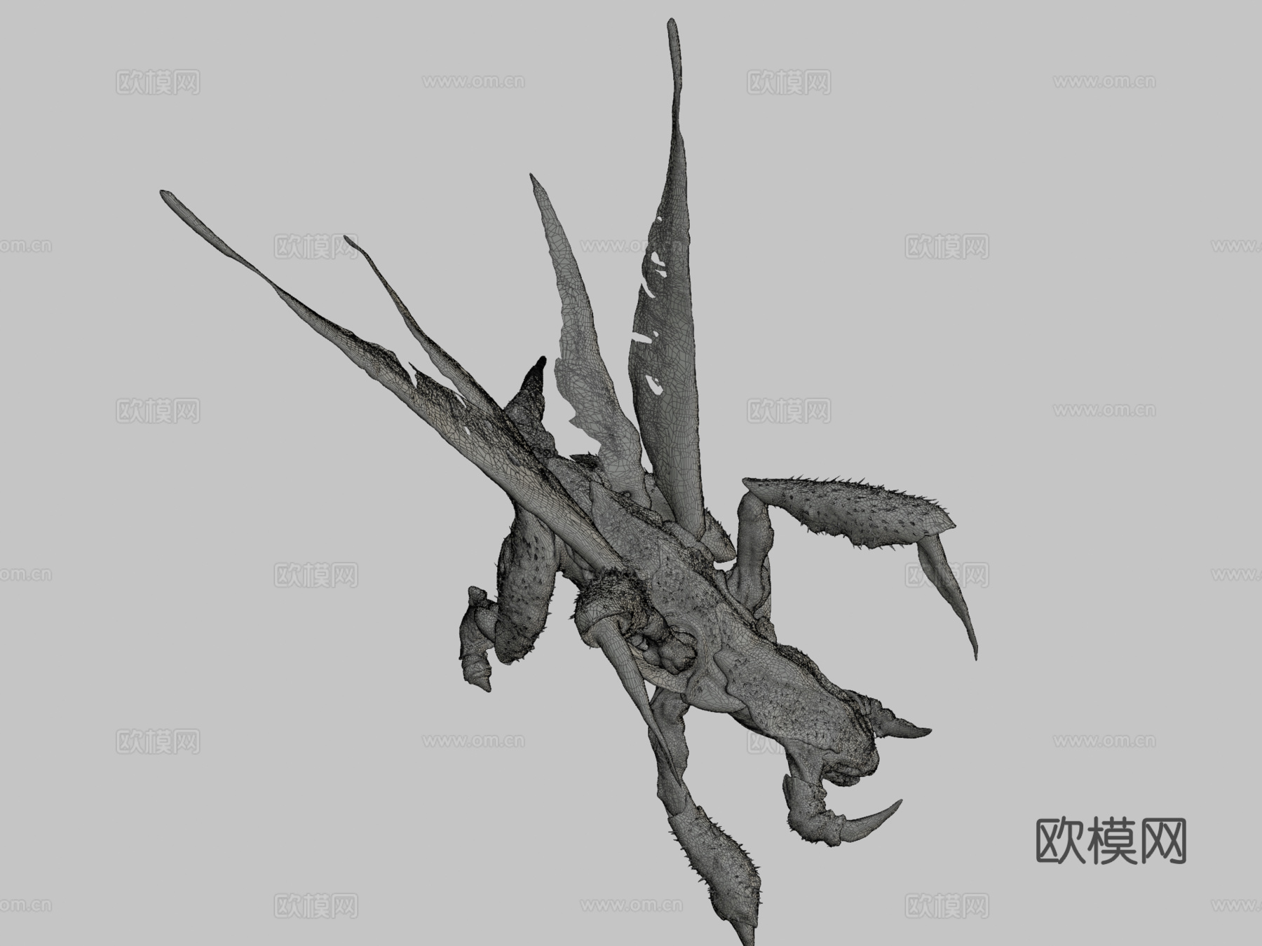 真实速龙3d模型