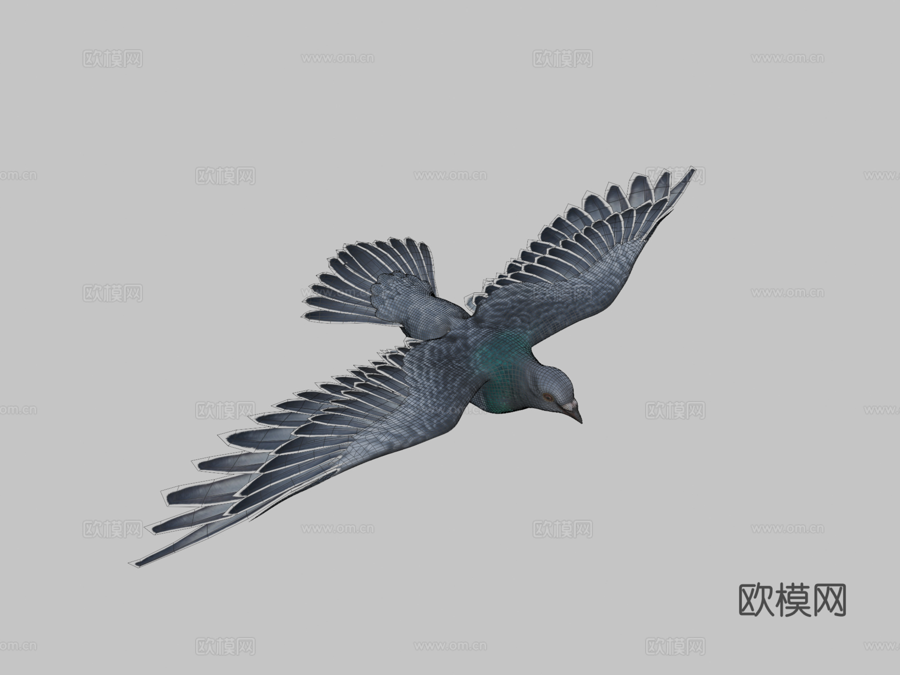 鸽子飞翔3d模型