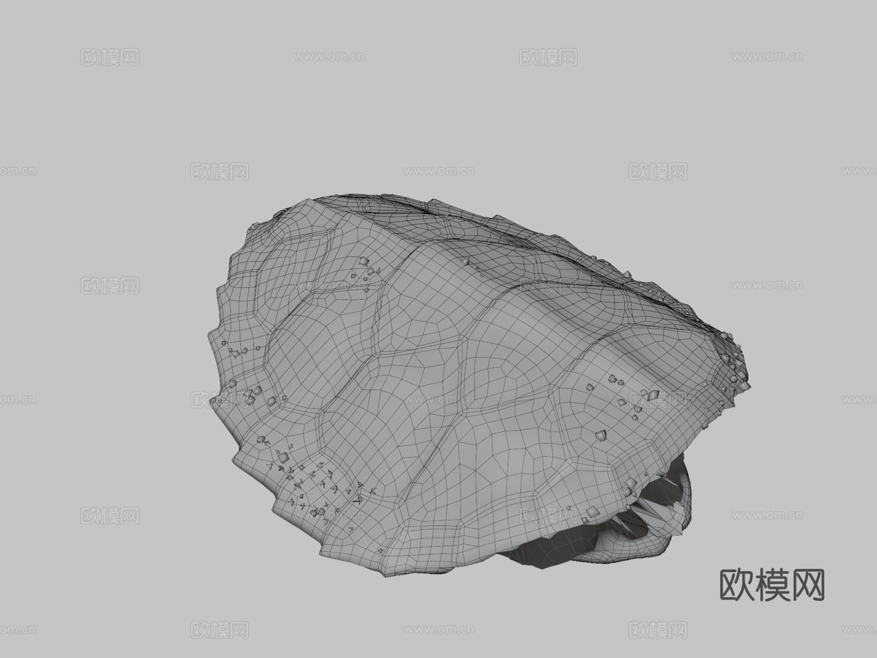绿海龟宝宝3d模型