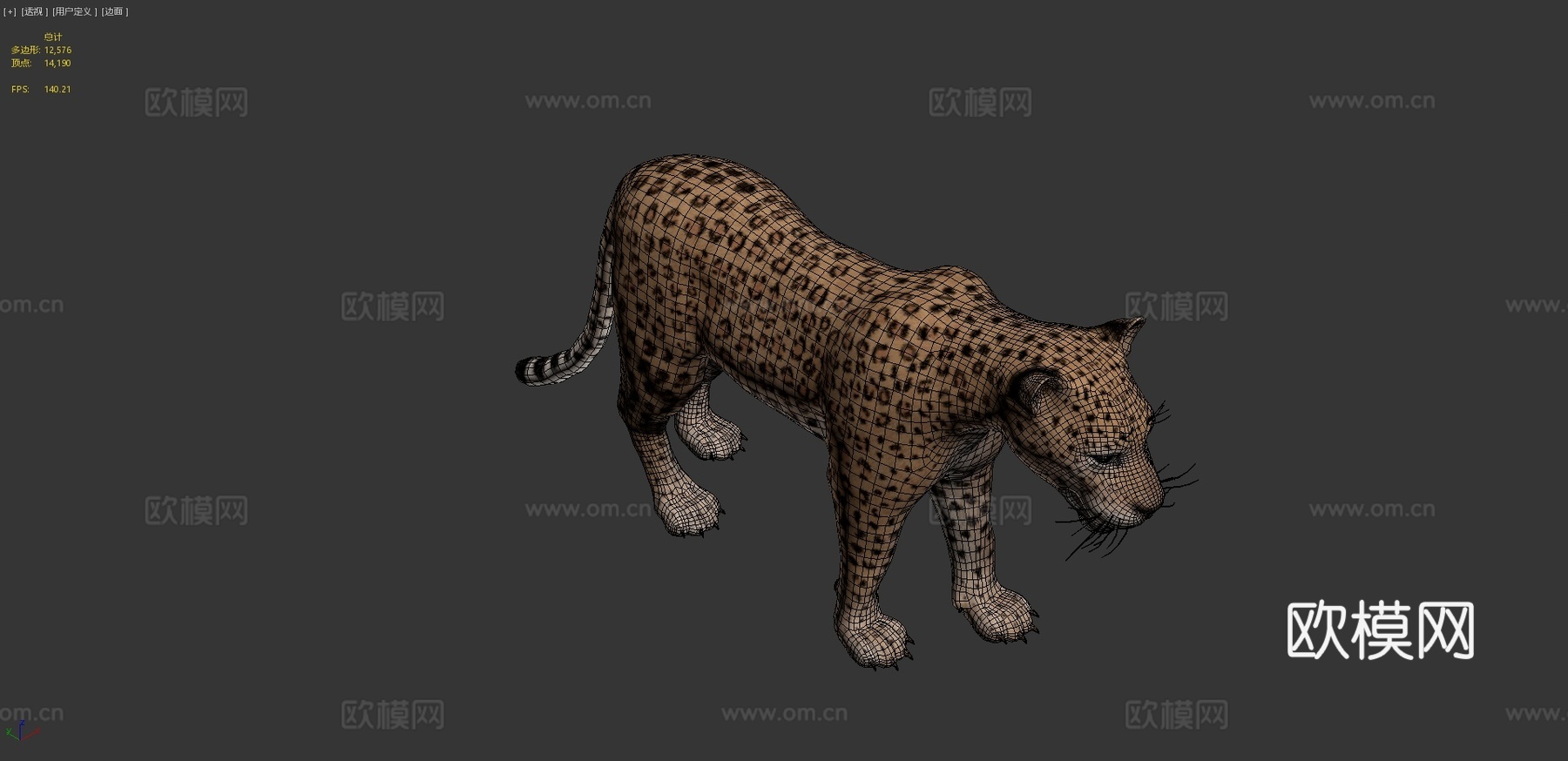 豹3d模型