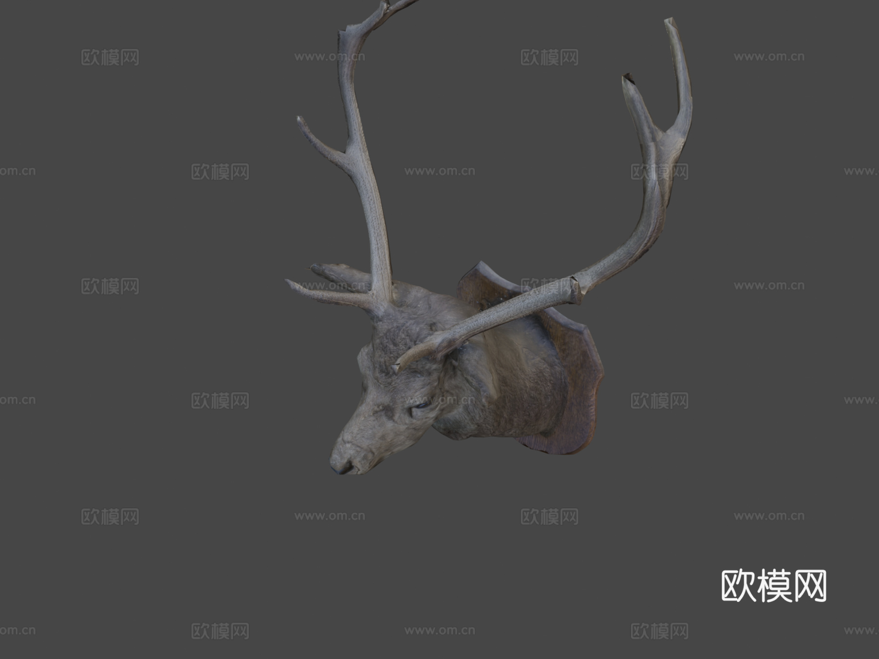 鹿3d模型