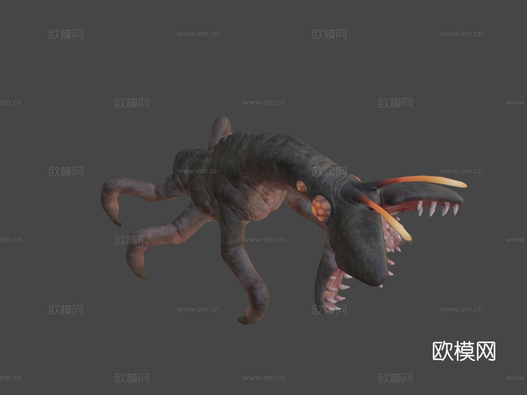 层铁氧体动画3d模型下载（渲染图7）