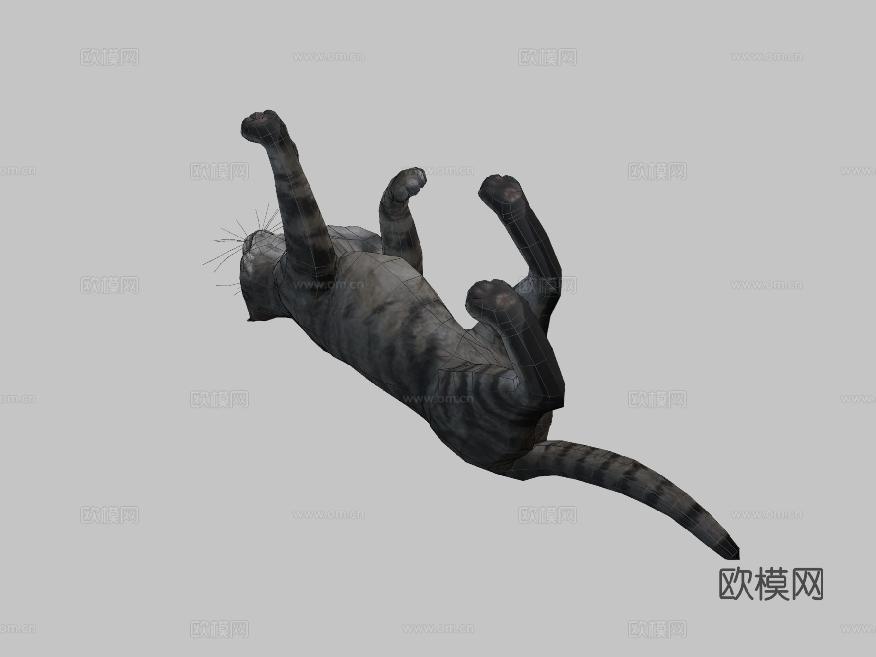 猫-行走动画3d模型