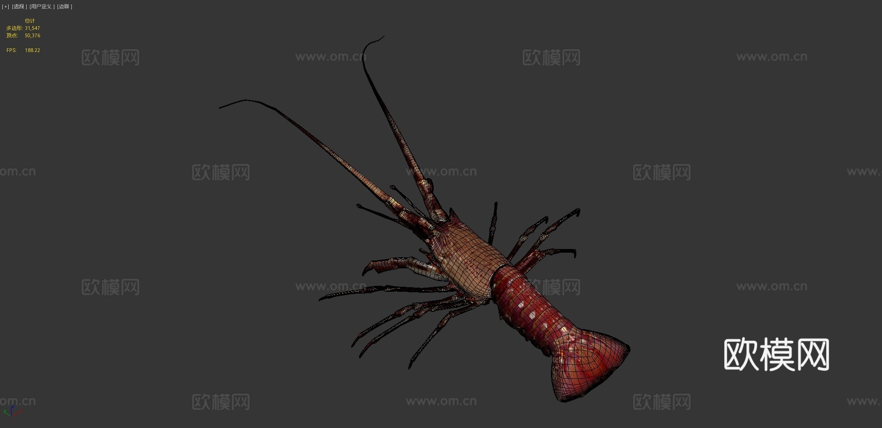 龙虾3d模型