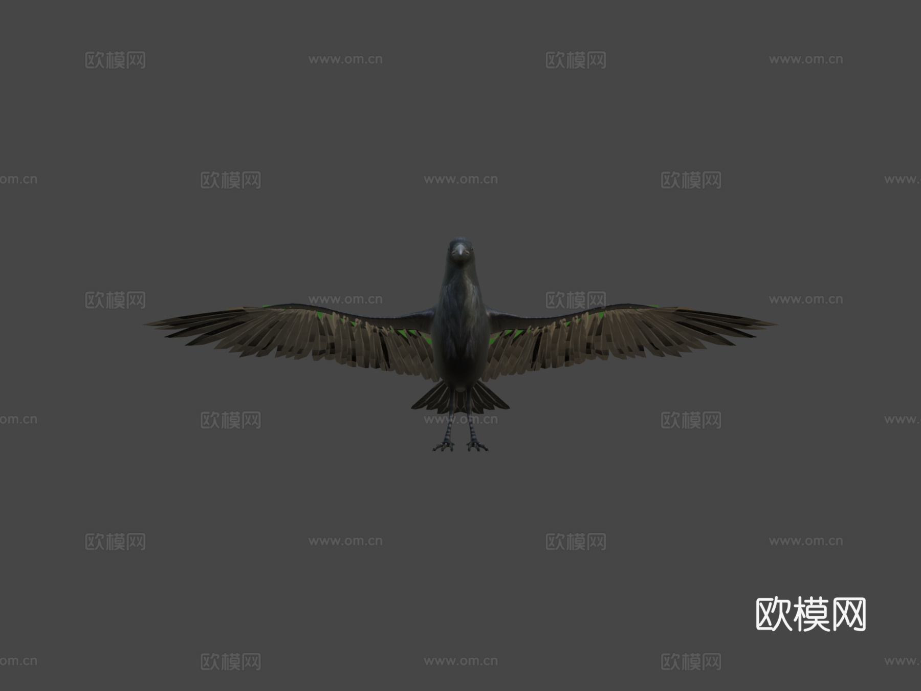 乌鸦_绑定动画3d模型