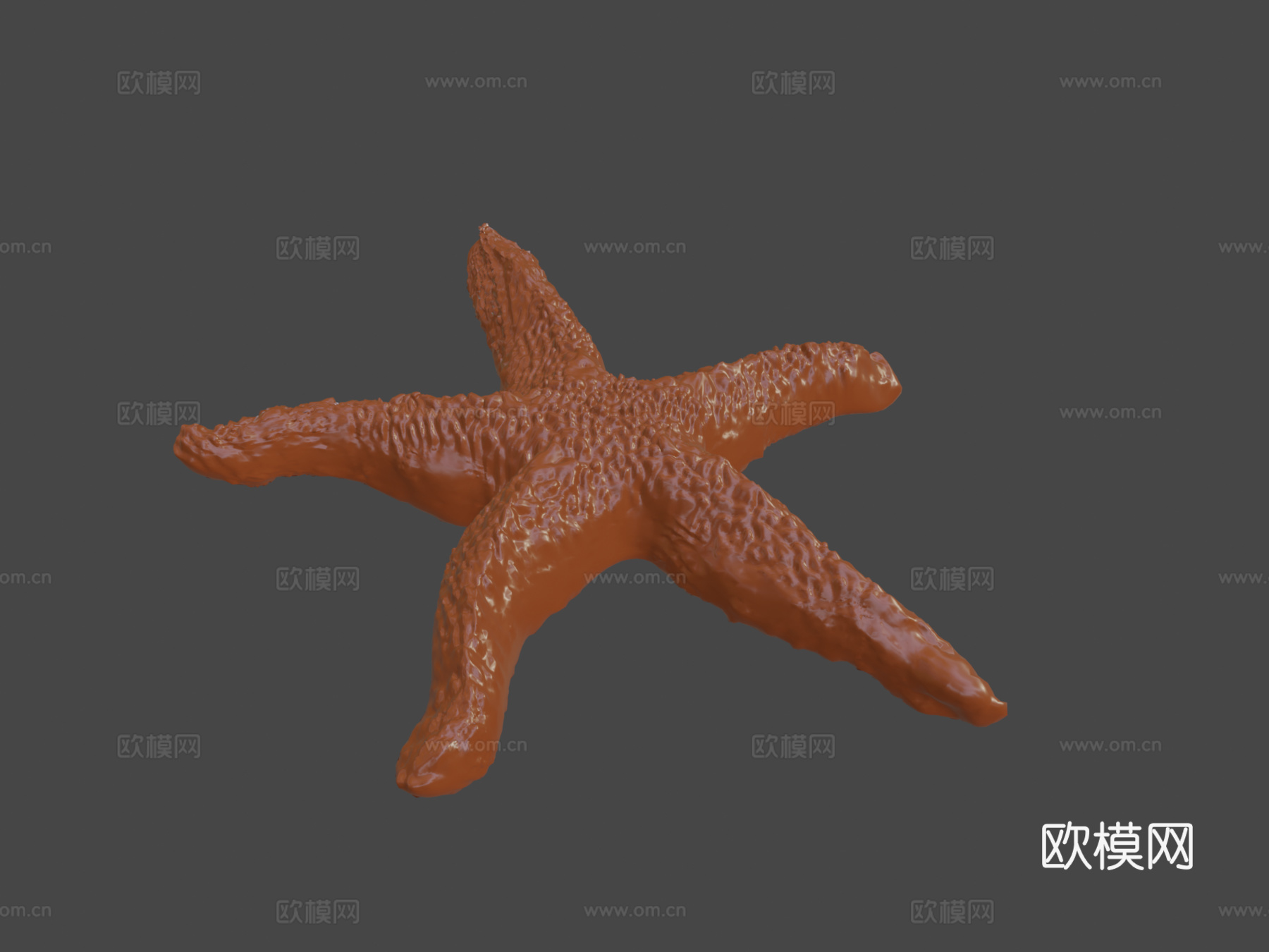 海星3d模型