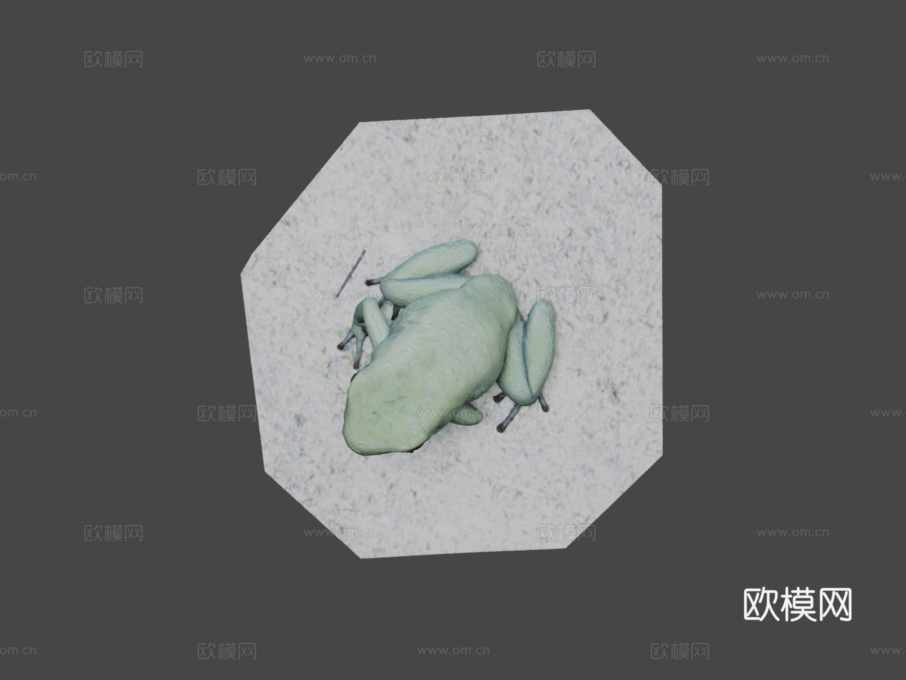 模型41-金色箭毒蛙，薄荷变种3d模型