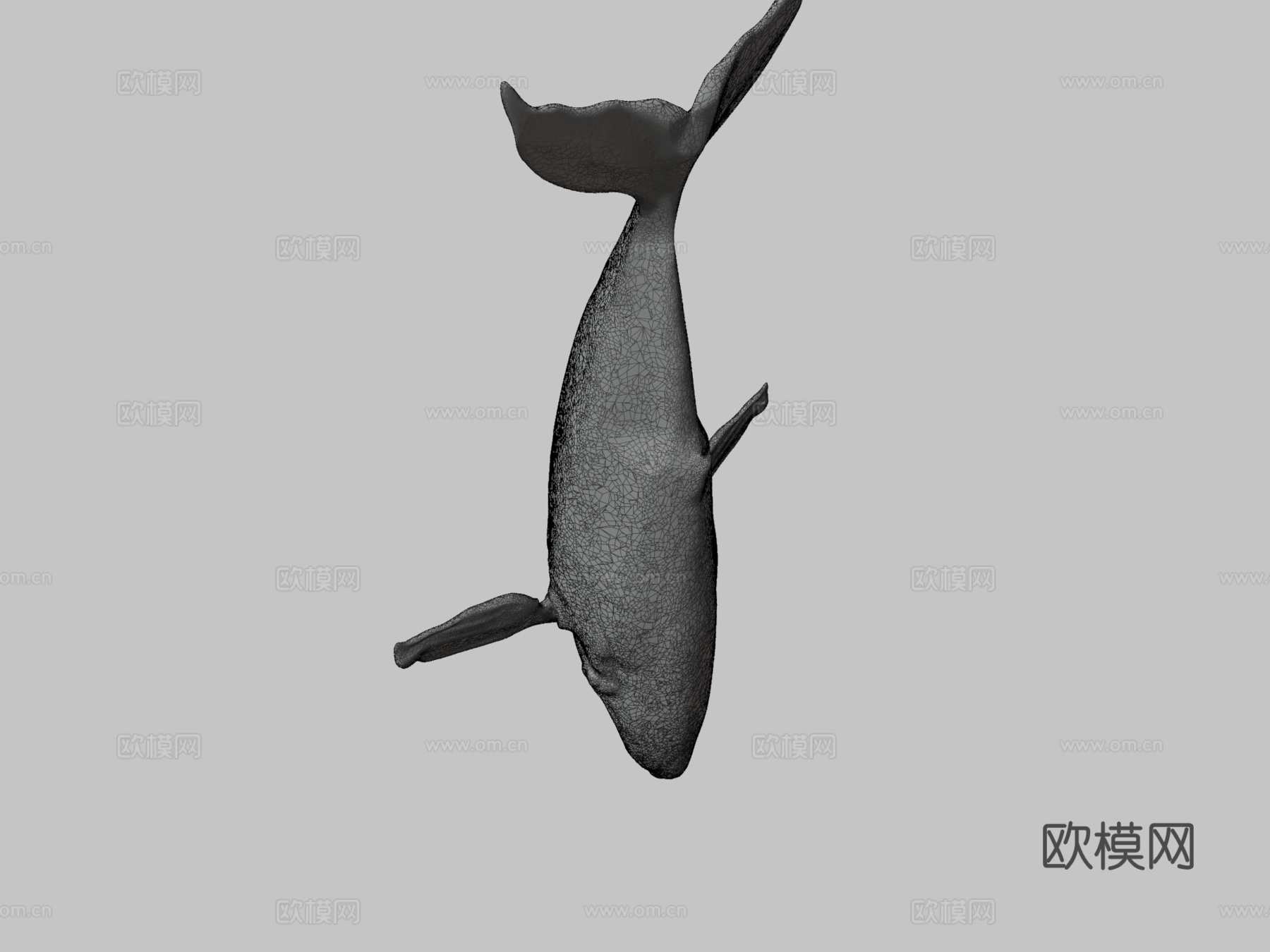 雕刻鲸鱼3d模型