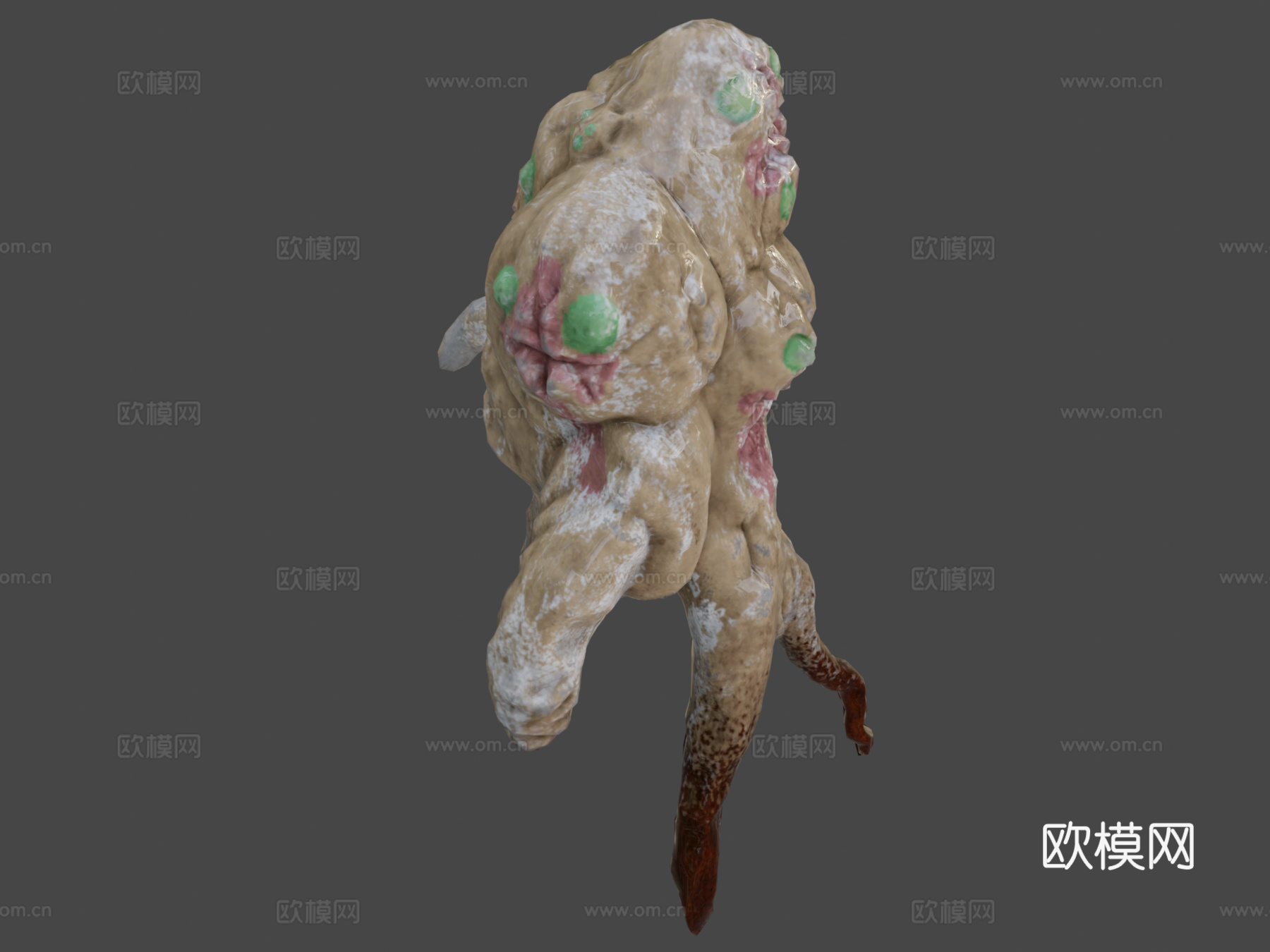 scp1733d模型