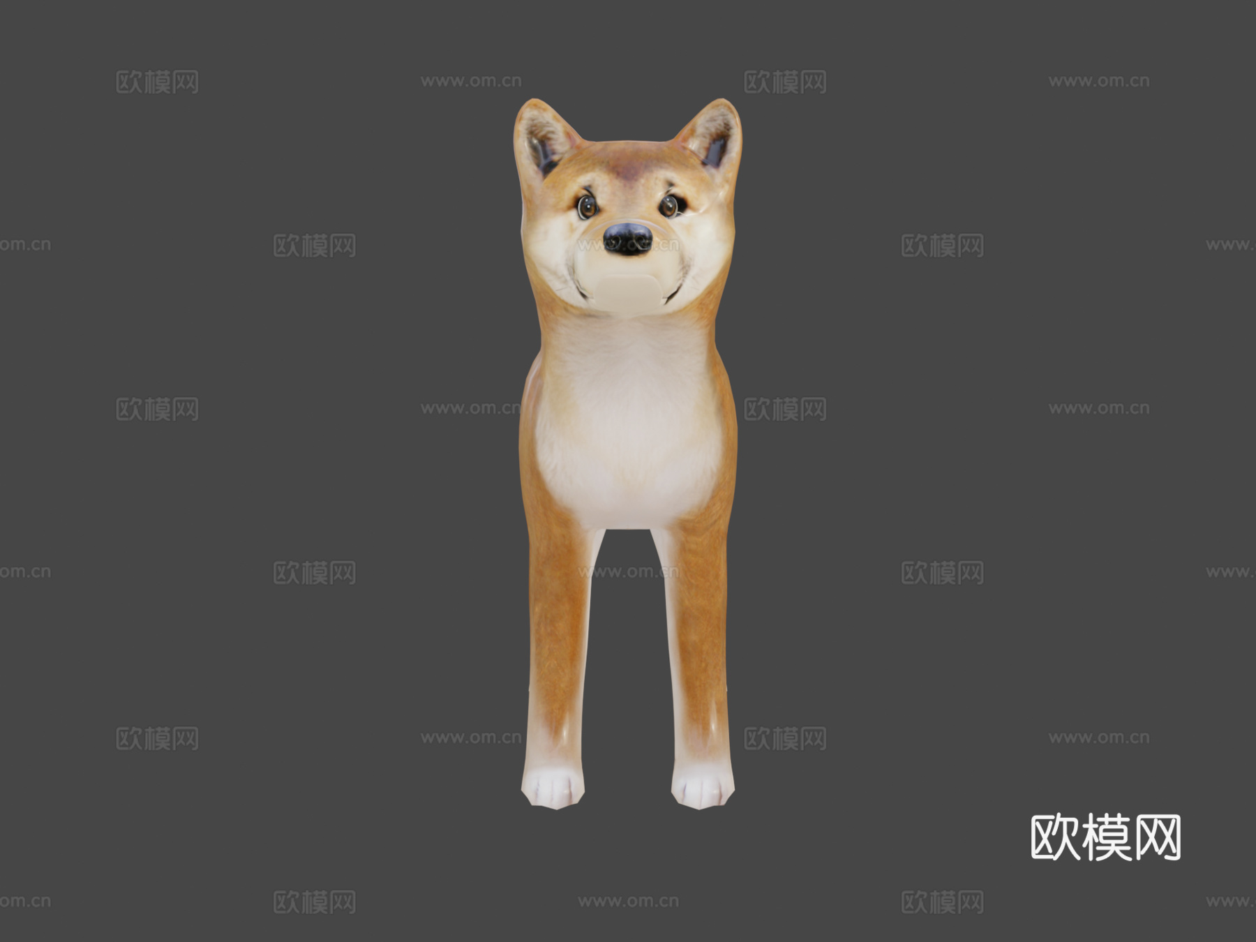 狗狗币3d模型3d模型