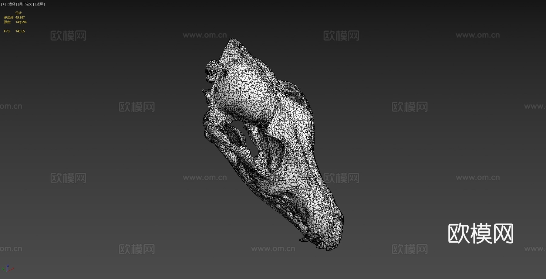 郊狼头骨扫描3d模型