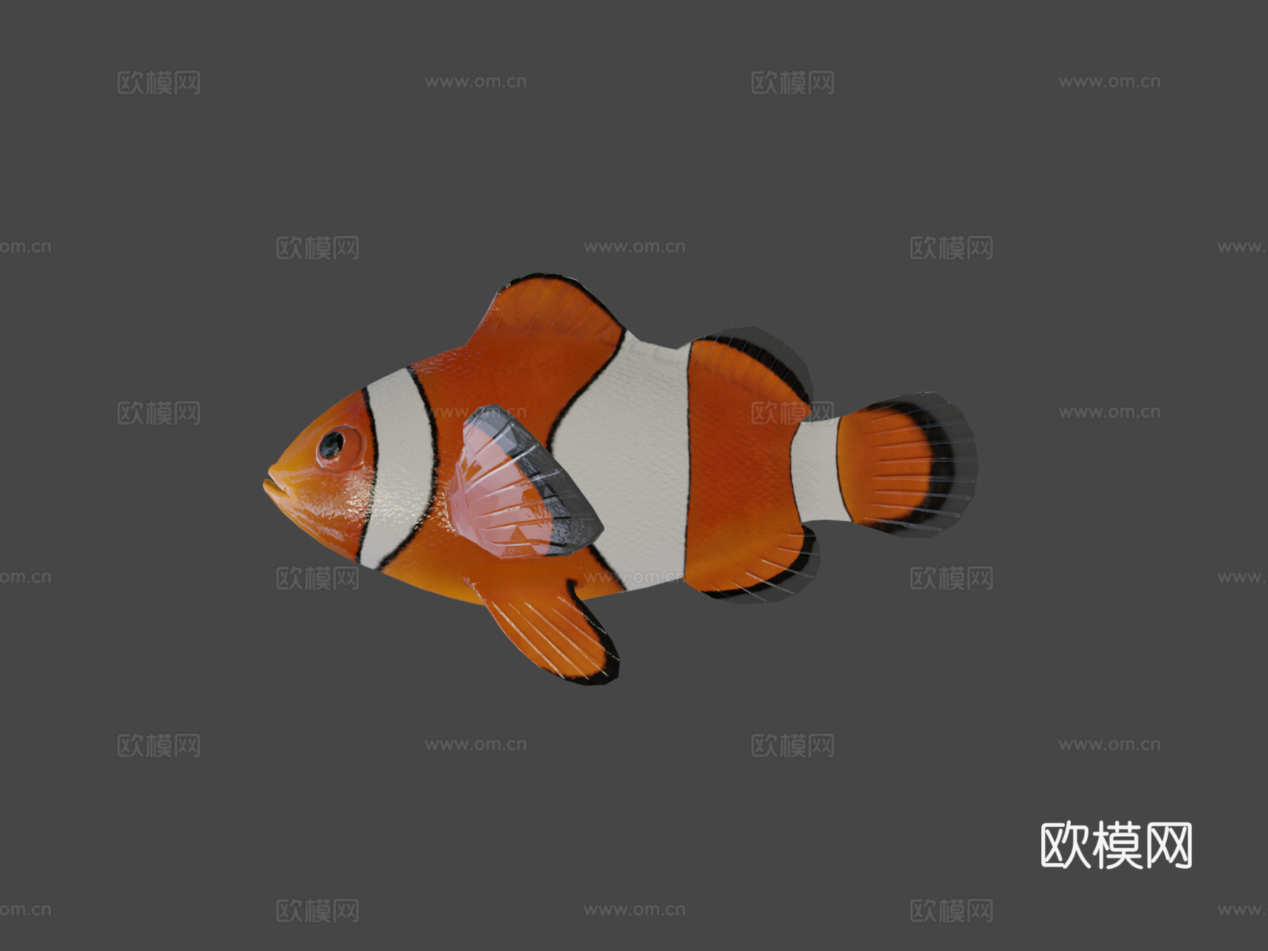 海葵鱼小丑鱼绑定3d模型