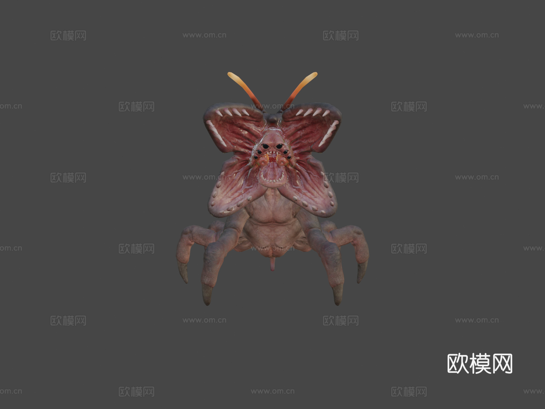 层铁氧体动画3d模型下载（渲染图6）