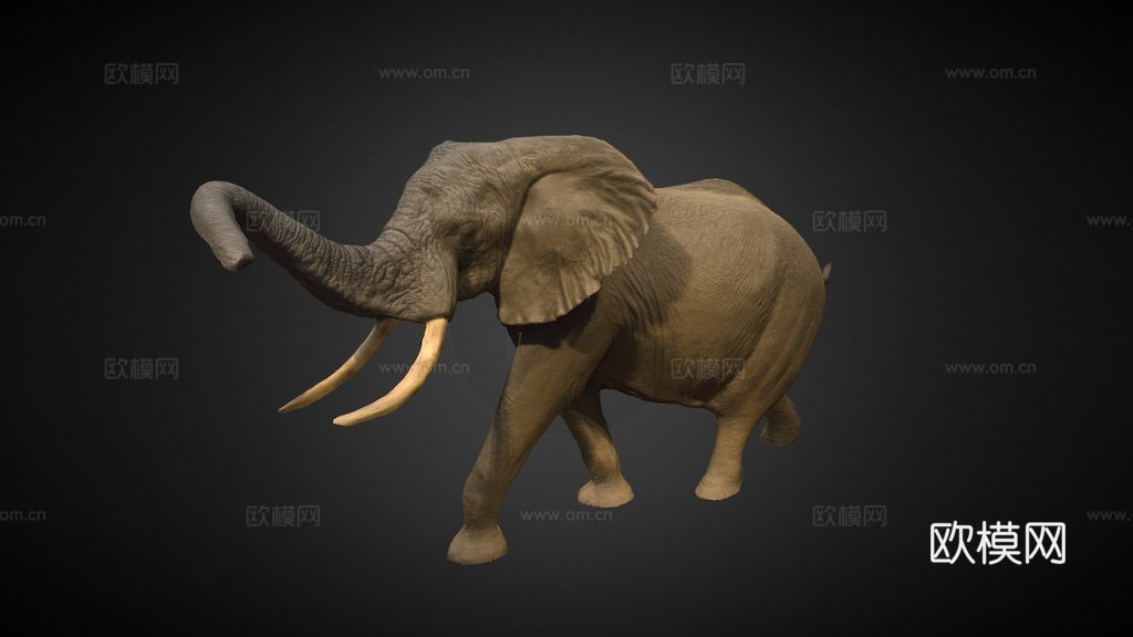 圆形大厅里的大象3d模型