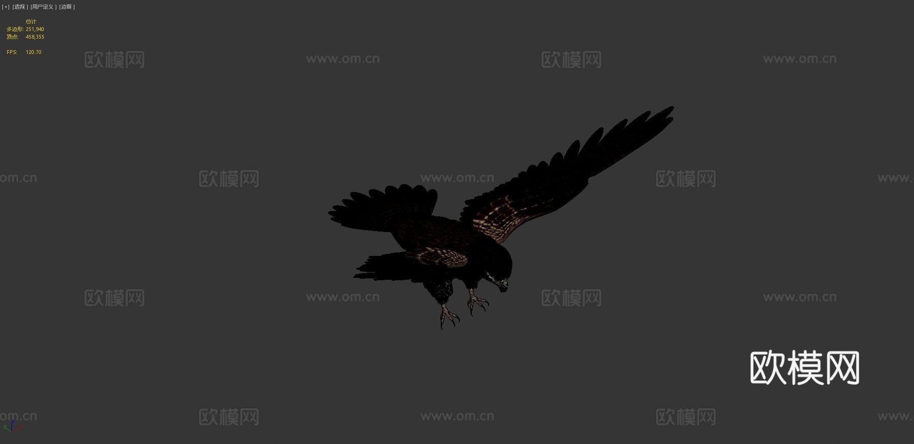 绑定游隼猛禽3d模型