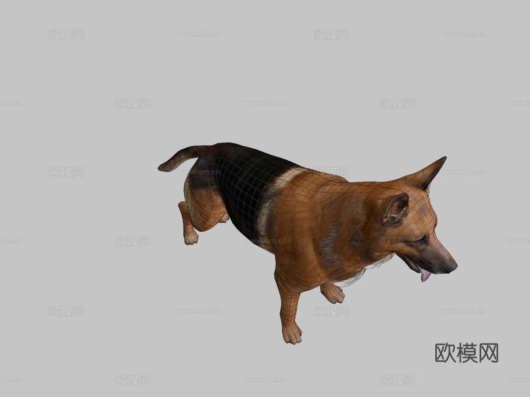 狗3d模型