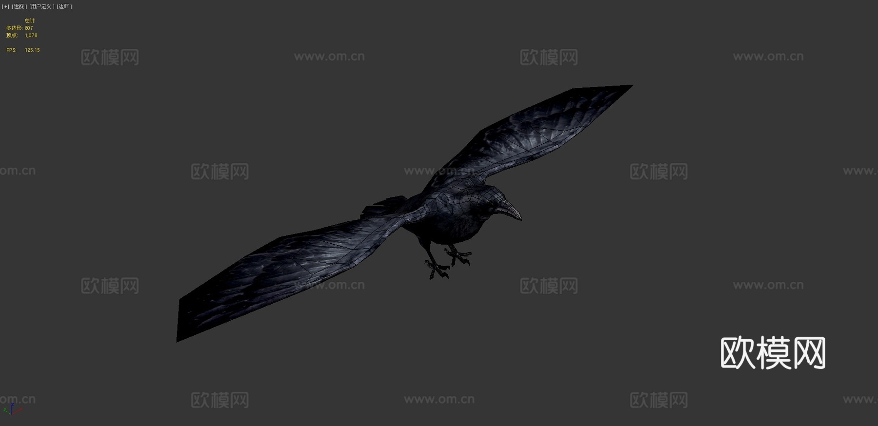 低多边形黑乌鸦野生鸟3d模型