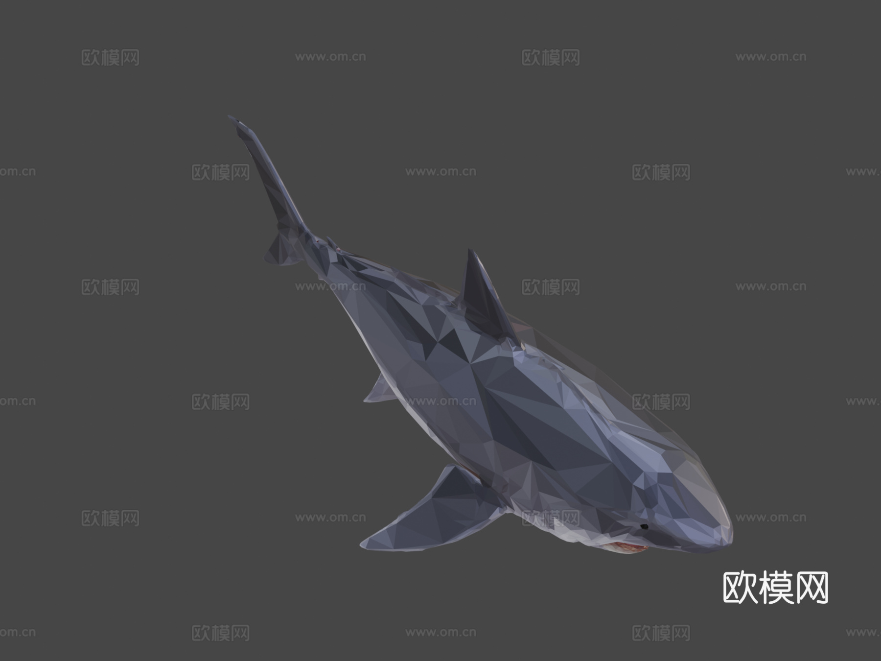 鲨鱼低多边形艺术海洋鱼3d模型